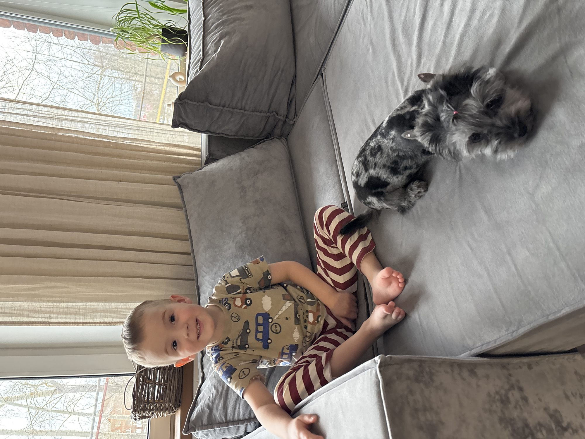 A young boy sits on a gray sectional sofa in an interior setting. He wears a beige t-shirt with transportation vehicle patterns and striped burgundy and white pants. A dog with gray and black fur lies on the sofa near the boy's feet. A window provides natural light, showing tree branches. A plant in a black pot sits on a windowsill. The setting appears to be in a residential space. The city of Chaikovsky, Russia, is not evident from the image itself.