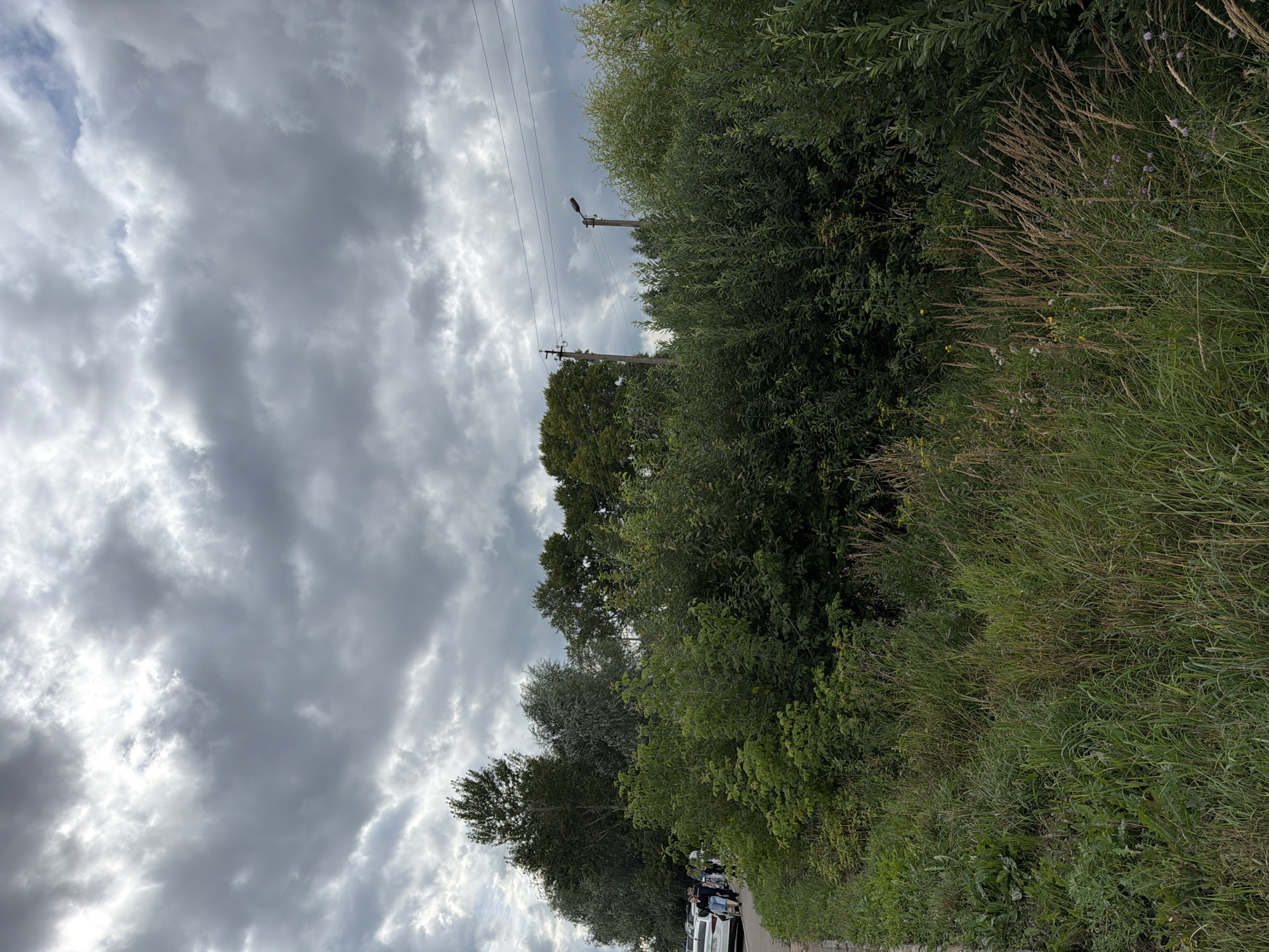 The image depicts an overcast sky with heavy, gray clouds. In the foreground, lush green grass and wildflowers grow along a paved path. Beyond the path, dense green bushes and trees form a natural barrier. In the midground, a white car is parked, and several people are gathered near it. Further in the background, utility poles with wires are visible among the trees, suggesting an urban or semi-urban setting. This scene is located in Yelabuga, Russia.