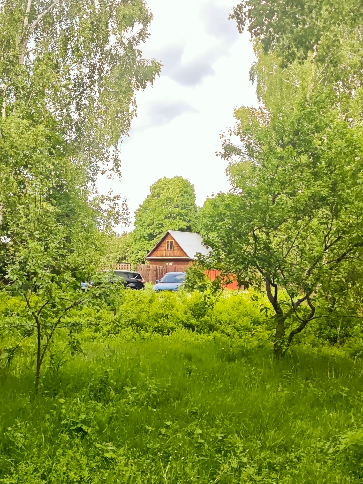 The image depicts a rural scene, likely in the city of Свистуха (кузяевский С/о), Russia. A small, one-story wooden house with a gable roof is visible in the background, partially obscured by dense green foliage. Two cars, one dark-colored and one blue, are parked near the house. The foreground is dominated by a lush green meadow with tall grass and young trees. Mature birch trees frame the view from above. The sky is overcast with clouds. No people are visible. The general atmosphere is tranquil and overgrown.