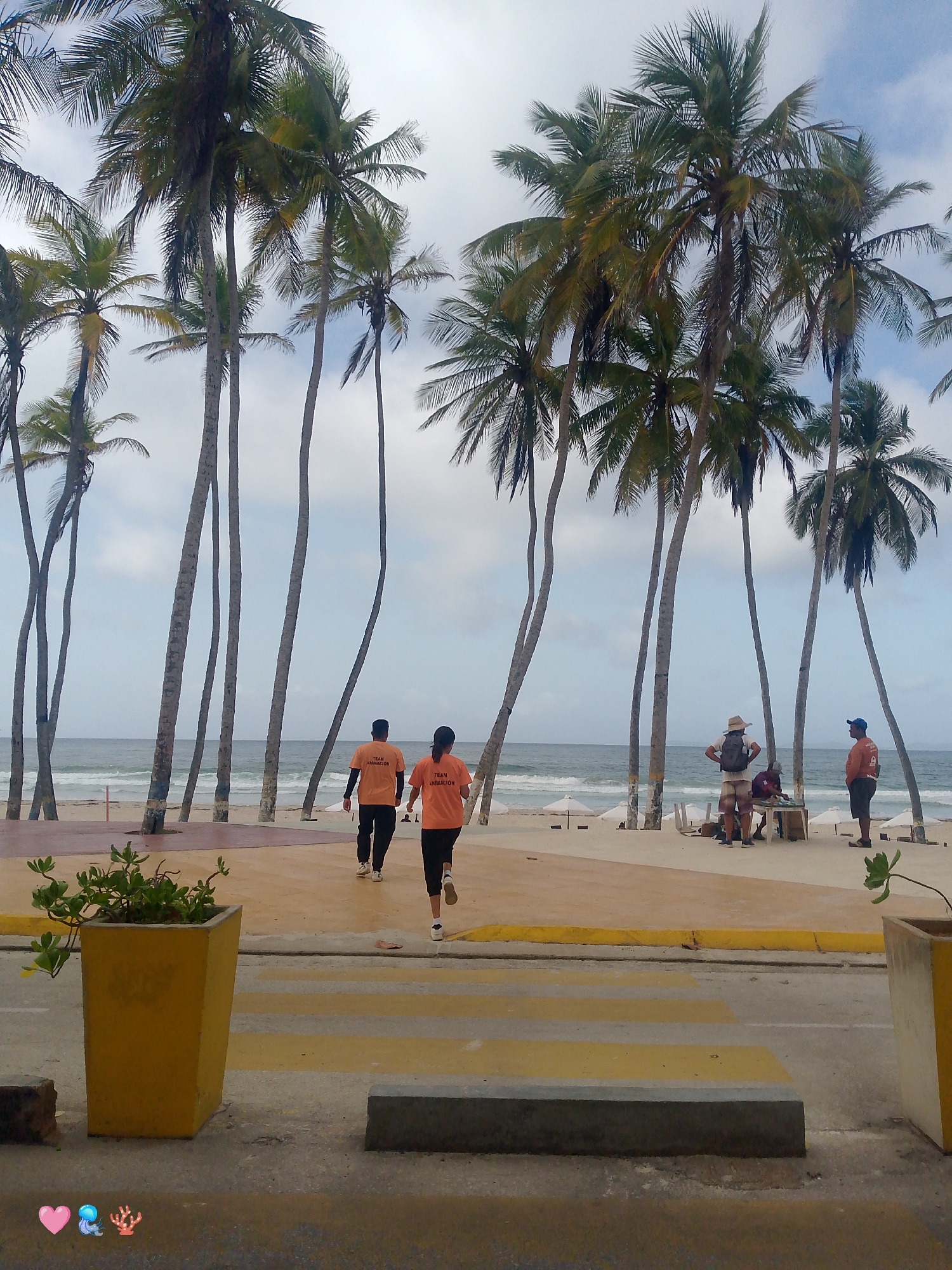 The image depicts a beach scene at Playa El Agua, Venezuela. A cluster of tall, slender palm trees dominates the foreground and midground, with their fronds reaching towards a cloudy sky. In the midground, two individuals wearing orange t-shirts with the text "TEAM ANIMACION" are walking away from the camera. The beach is visible behind them, lined with white umbrellas. Several other individuals are present on the beach near a table and chairs, with some standing and others seated. In the immediate foreground, a yellow planter with a green plant sits to the left, and a pedestrian crossing with yellow and gray stripes is visible. To the right, another yellow planter is partially visible. The ocean waves are gently rolling onto the sandy shore.
