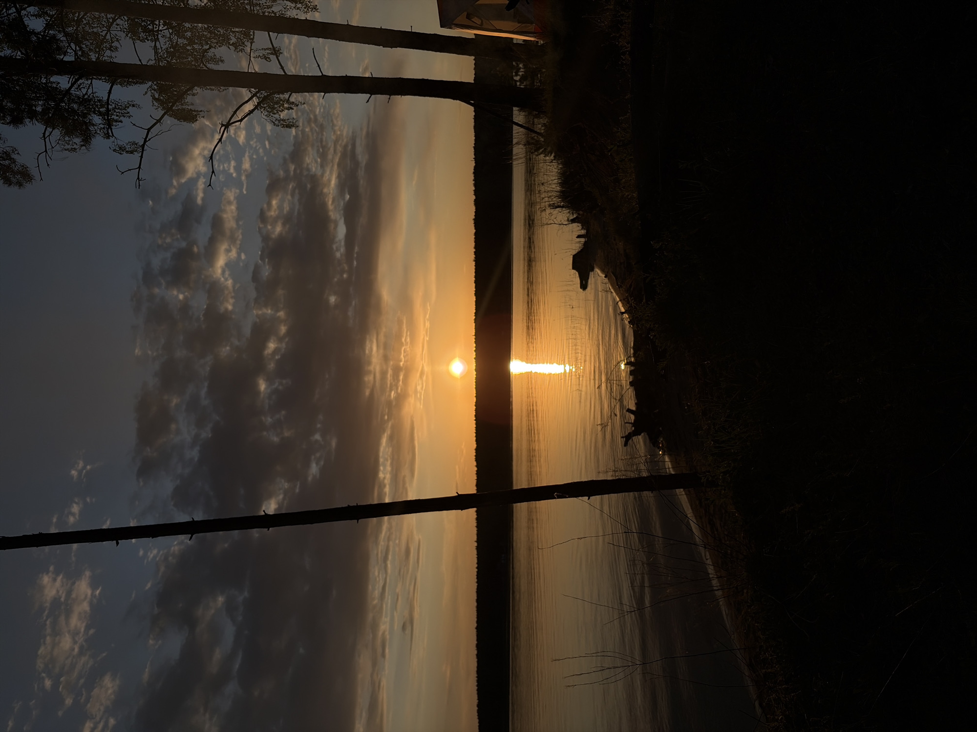 The image depicts a sunset over a body of water. The sun's reflection creates a bright path across the water's surface. Silhouetted trees are visible on either side of the water, with branches extending into the sky. There's a dark landmass on the right side of the image. Clouds are present in the sky, illuminated by the setting sun. The location is Zabegaevo, Russia.