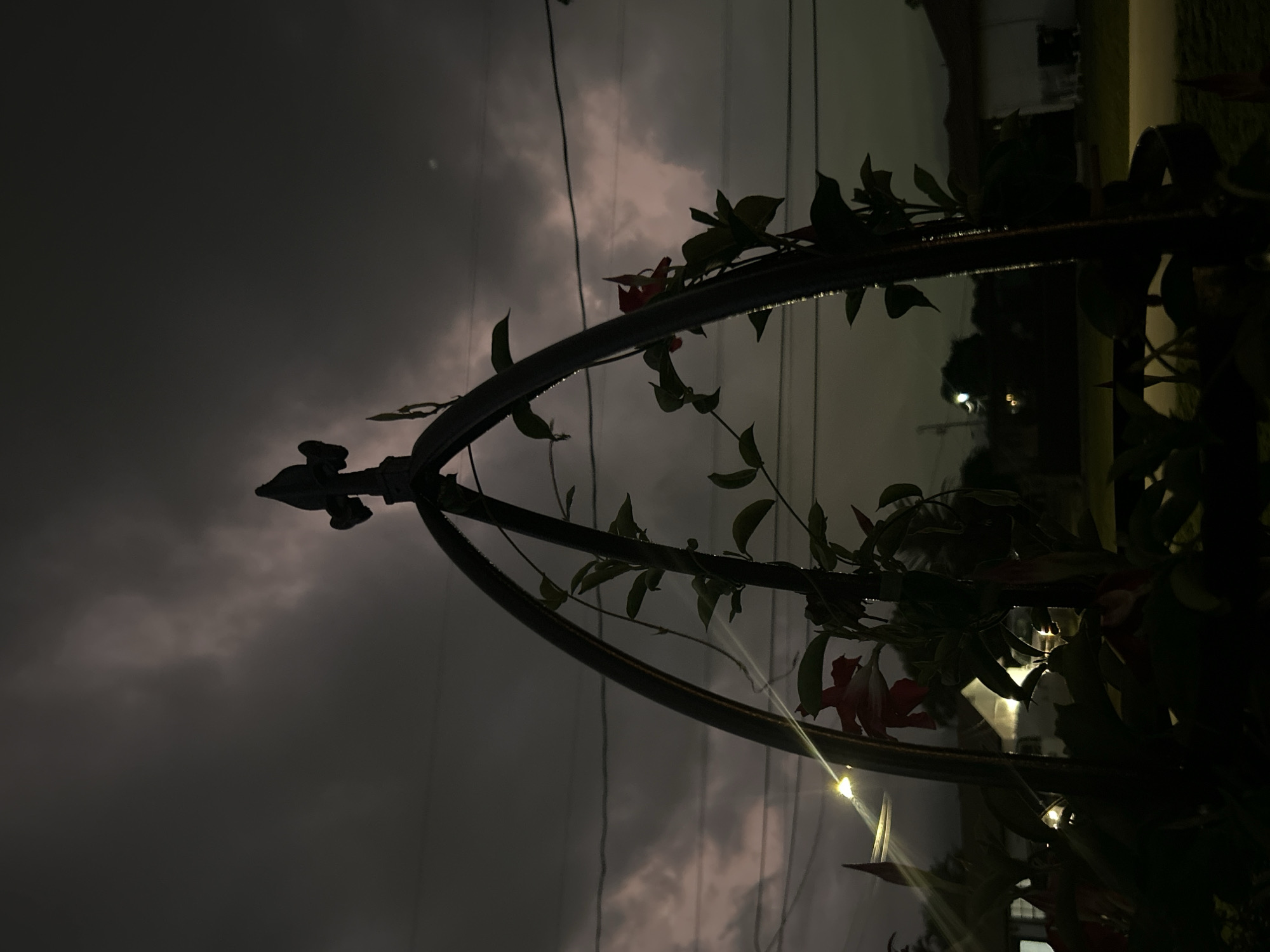 The image depicts a dark, moody scene with a silhouette of an arched garden trellis, adorned with vines and a few red flowers. The sky above is overcast with dramatic, dark clouds, hinting at an impending storm or the aftermath of one. In the background, faint lights suggest a residential area in Cape Coral, Florida, with the outlines of houses visible through the gloom. Power lines are also visible stretching across the sky. The overall impression is one of an atmospheric, possibly humid evening in a suburban environment.