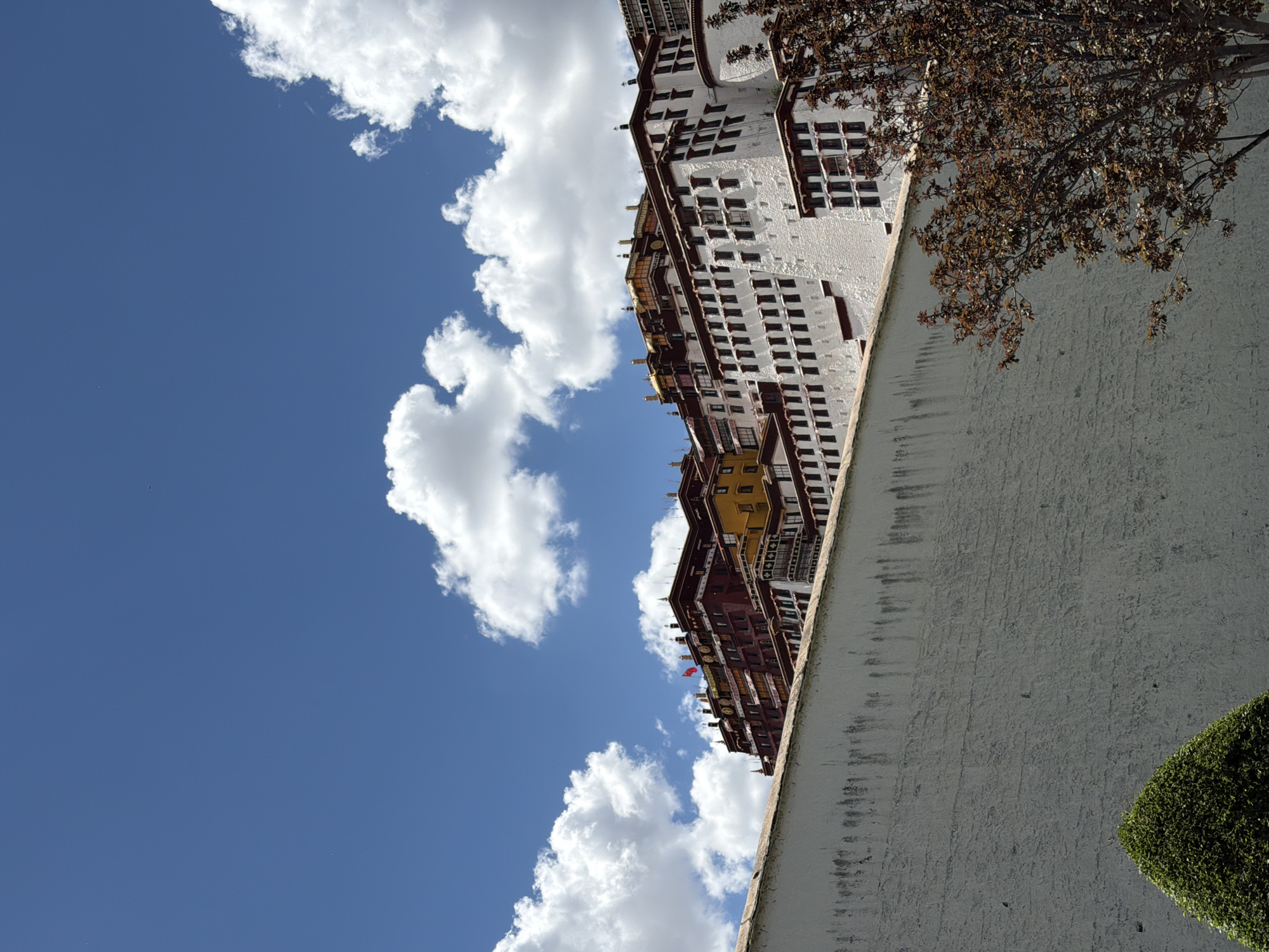 The image captures a majestic architectural complex under a clear blue sky dotted with fluffy white clouds. The primary subject is a towering, multi-story building, characterized by its predominantly white walls and numerous dark, rectangular windows arranged in orderly rows. Portions of the building feature distinct red and golden sections, adding color to the intricate facade. Golden ornaments are visible on some of the rooftops.
To the right, a tall, light-colored textured wall extends upwards, partially bordered by a tree with reddish-brown foliage in the upper right quadrant. At the bottom right, a neatly trimmed green bush sits against the base of the wall. The bright daylight illuminates the scene, creating soft shadows and highlighting the architectural details. No individuals or specific activities are visible. The distinctive architecture, particularly the Potala Palace-like appearance, suggests a significant cultural or historical landmark. The setting appears serene and grand, likely under pleasant weather conditions, consistent with the provided location context of Chengguan District, China. There is no visible text in the image.