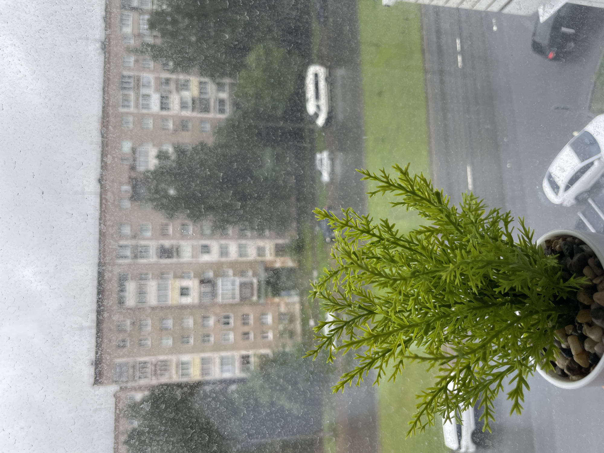 A view from a high vantage point on a rainy day depicts a building complex and traffic in an urban environment. Water droplets obscure the glass surface, partially obscuring the beige multi-story building to the left, which features a grid of windows. In the midground, foliage partially veils the structure and road. Vehicle traffic appears to be flowing on the right, with visible cars, including a white car near the bottom edge of the frame and a dark-colored vehicle positioned towards the upper right corner. A small, potted artificial plant with bright green foliage sits on the window sill, partially obscuring the distant view. The exact location is Unknown, Unknown.