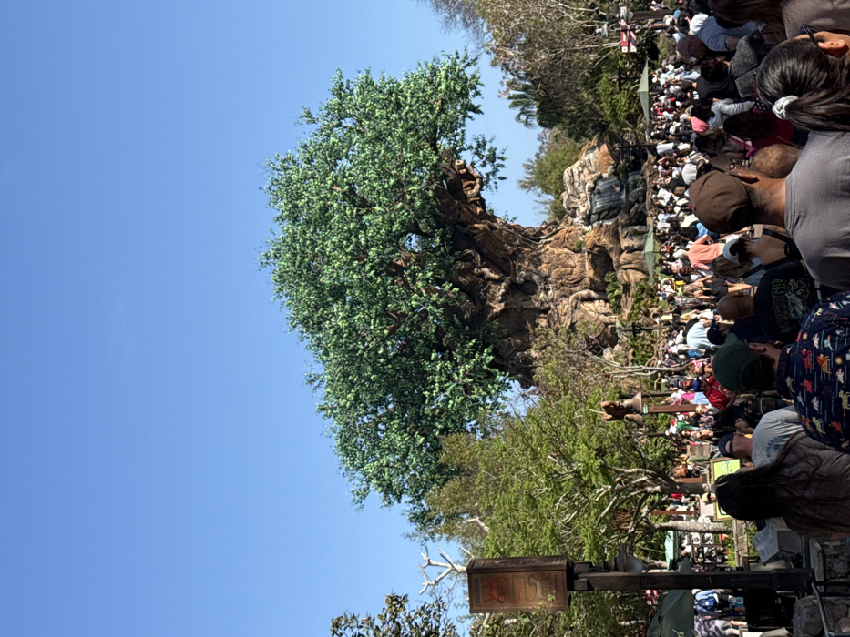 The scene depicts a large outdoor gathering at Disney's Animal Kingdom, located in Bay Lake, Florida, United States. The central subject is the Tree of Life, a massive artificial tree structure with a full green canopy, intricate brown trunk carvings, and visible roots forming part of a rocky landscape. A small waterfall flows over artificial rock formations at the base of the tree on the right side.
A dense crowd of numerous individuals occupies the lower half to two-thirds of the image, extending from the immediate foreground to the mid-ground. Most individuals are observed from behind, dressed in casual clothing including t-shirts, shorts, and hats. They appear to be walking and standing along a paved pathway or open area.
To the left in the foreground, a dark-colored pole supports a rectangular sign with a reddish-orange illuminated face displaying text and a dark animal silhouette. Several green umbrellas or awnings are visible amidst the crowd and surrounding foliage. The sky above is clear and blue, indicating fair weather and bright daylight conditions. Lush green trees and vegetation border the area surrounding the primary tree structure. No specific interactions or actions beyond general movement are discernible within the crowd.