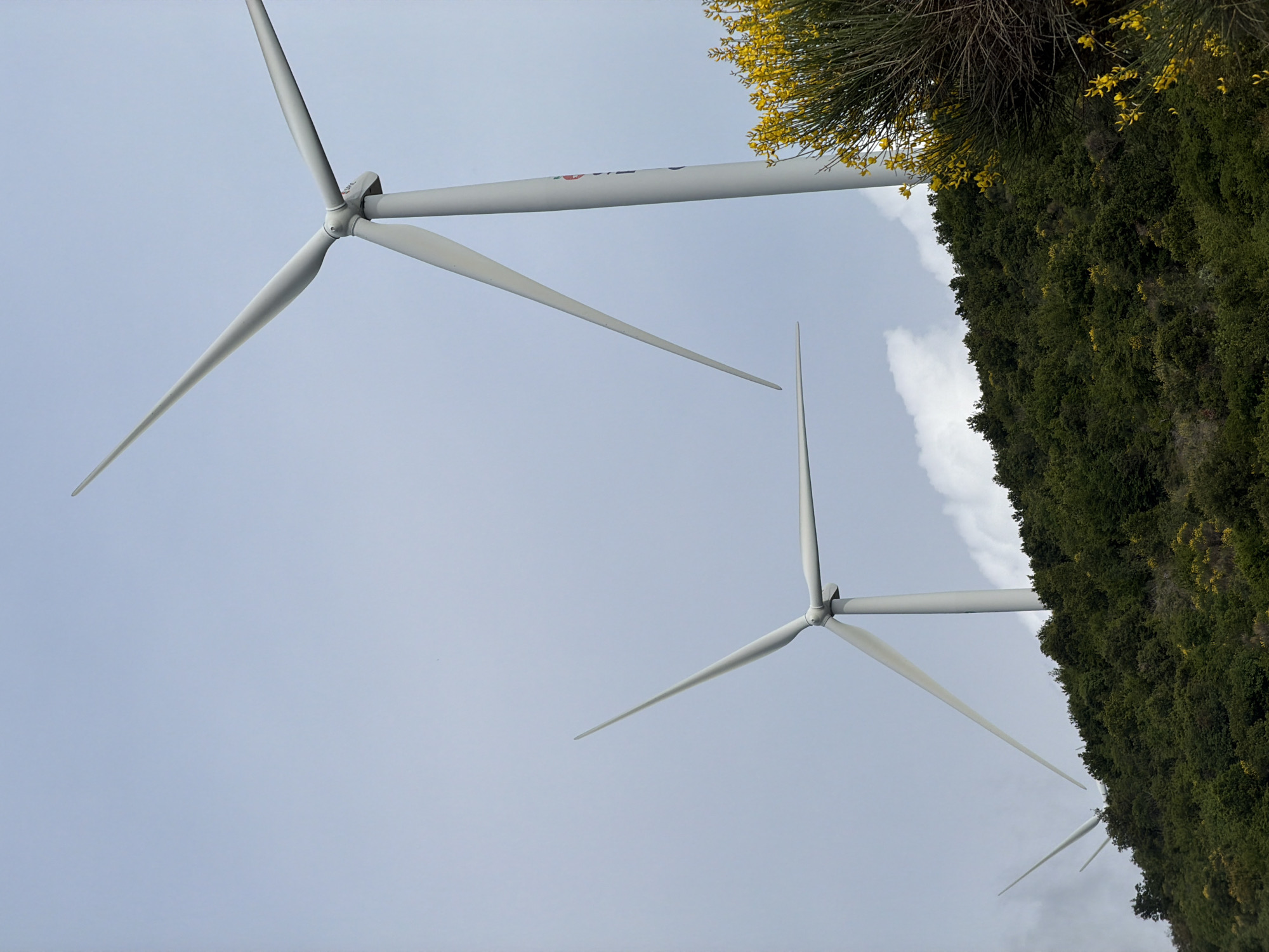 The image depicts a wind farm in Kruče - Kërruçi, Montenegro. Three white wind turbines are visible against a cloudy sky. Dense green vegetation, with some yellow flowering bushes, lines the right side of the image, partially obscuring the turbines. The angle is tilted upwards, giving a worm's-eye view of the wind turbines extending into the sky.