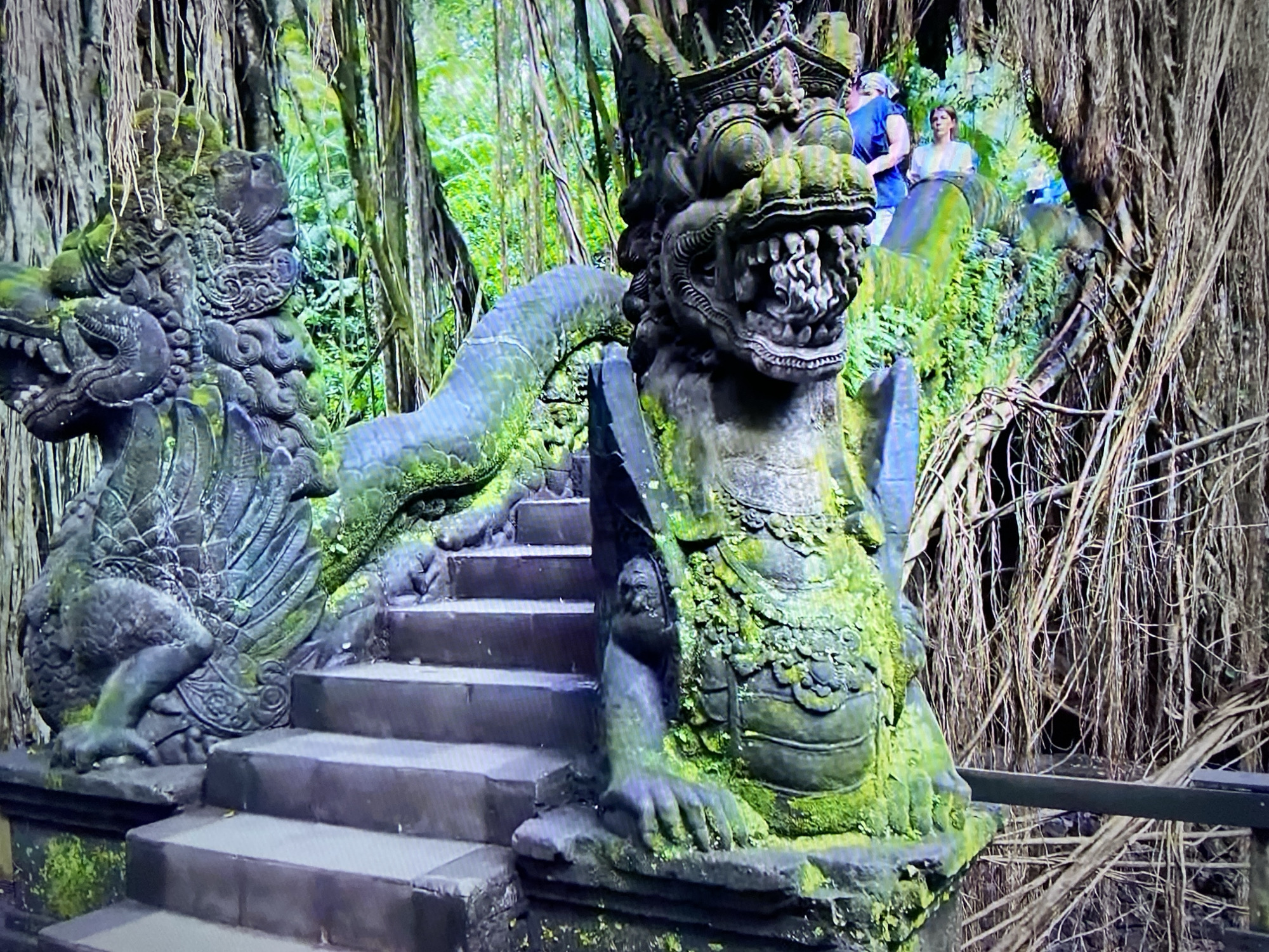 The image shows stone carvings of dragon-like figures flanking a set of stairs in a lush, green environment with thick trees and hanging vines, possibly in a tropical setting. The sculptures are heavily covered in moss, suggesting age and exposure to moisture. The stairs are gray and appear to be made of stone. Two people are visible in the background, standing among the greenery. The location is Unknown, Unknown.