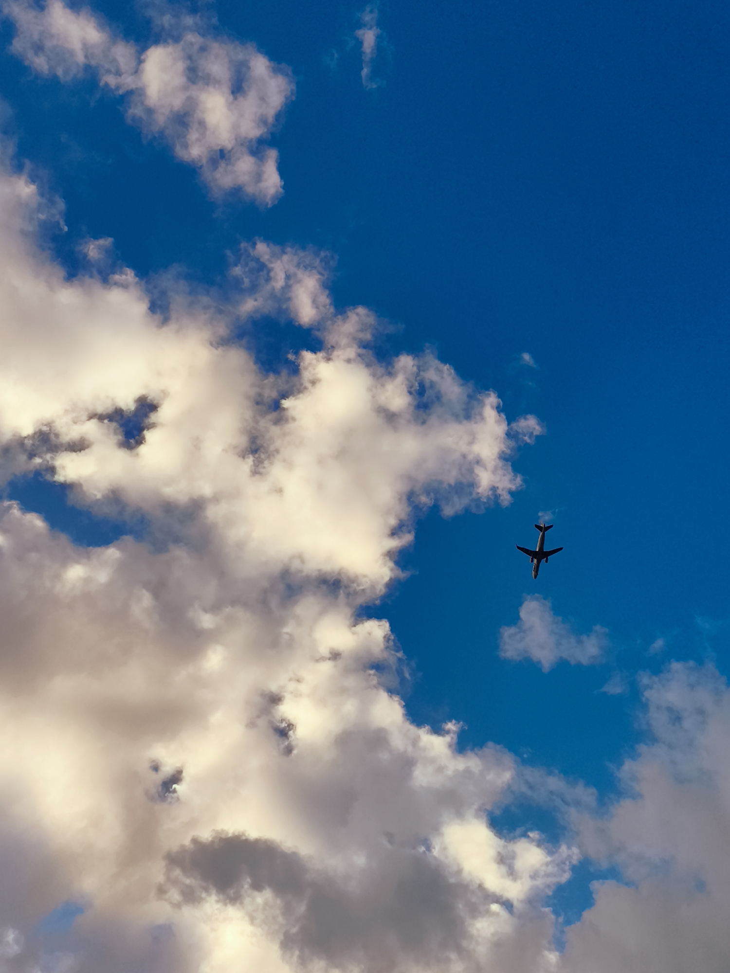 An airplane is seen flying in the bright blue sky over Gdańsk, Poland. The plane is silhouetted against the sky and appears to be a commercial jet with its wings spread. There are scattered white clouds in the sky, some of which are illuminated by the sun. The clouds are fluffy and appear to be at a lower altitude than the airplane. The scene is peaceful and serene, with the airplane soaring high above the city.