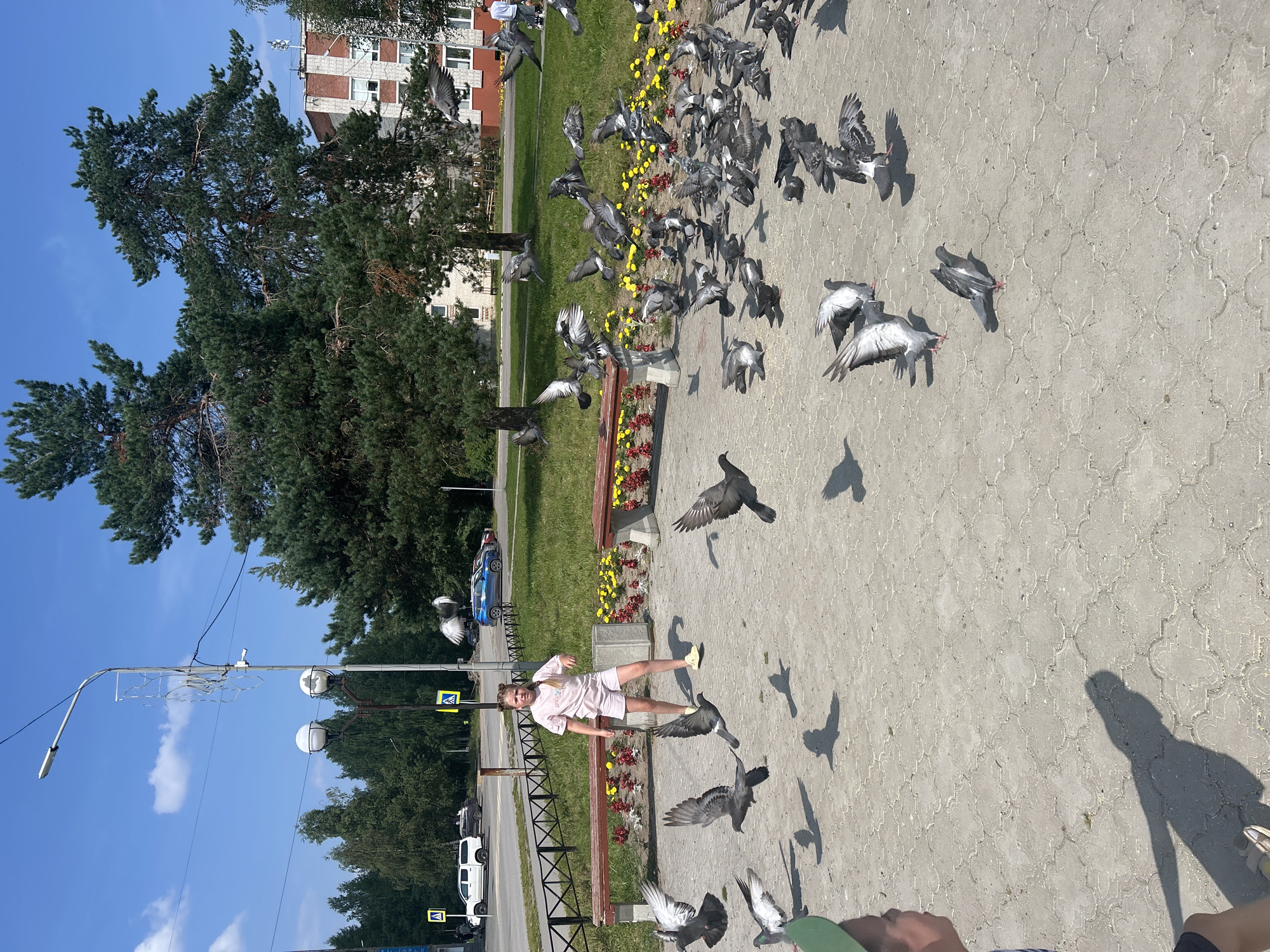 The image depicts a girl in a light pink t-shirt and shorts standing on a paved area with many pigeons around her, some flying and some on the ground. The girl has blonde hair in braids. In the background, there are trees, a building, a street with cars, and a lamppost. The scene appears to be a public space, possibly a park or square, in the city of Krasnovishersk, Russia, given the presence of a sign with Cyrillic lettering in the background. The day is sunny with a blue sky and some clouds. The pigeons are mostly grey with some white markings. The girl is looking towards the pigeons.