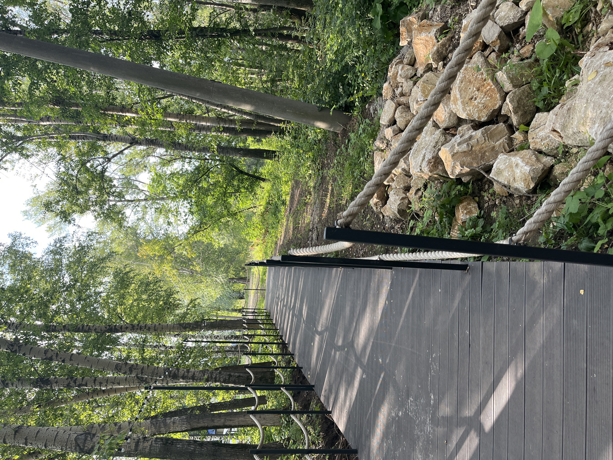The image depicts a wooden boardwalk in a park setting. The boardwalk is made of dark gray planks and runs from the foreground into the distance, curving to the right. It is bordered by black metal posts with thick rope railings. To the left of the boardwalk, there is a dense line of trees with light-colored bark, likely birch trees, interspersed with lush green foliage. The ground on the left appears to be a dirt path. To the right of the boardwalk, there is a section of rough, rocky terrain with large, light-colored stones and more green vegetation. Sunlight casts dappled shadows on the boardwalk. The scene suggests a well-maintained outdoor recreational area. The location is identified as Blagoveshchensk, Russia, indicating a park or natural area within the city. There are no people visible in the image.