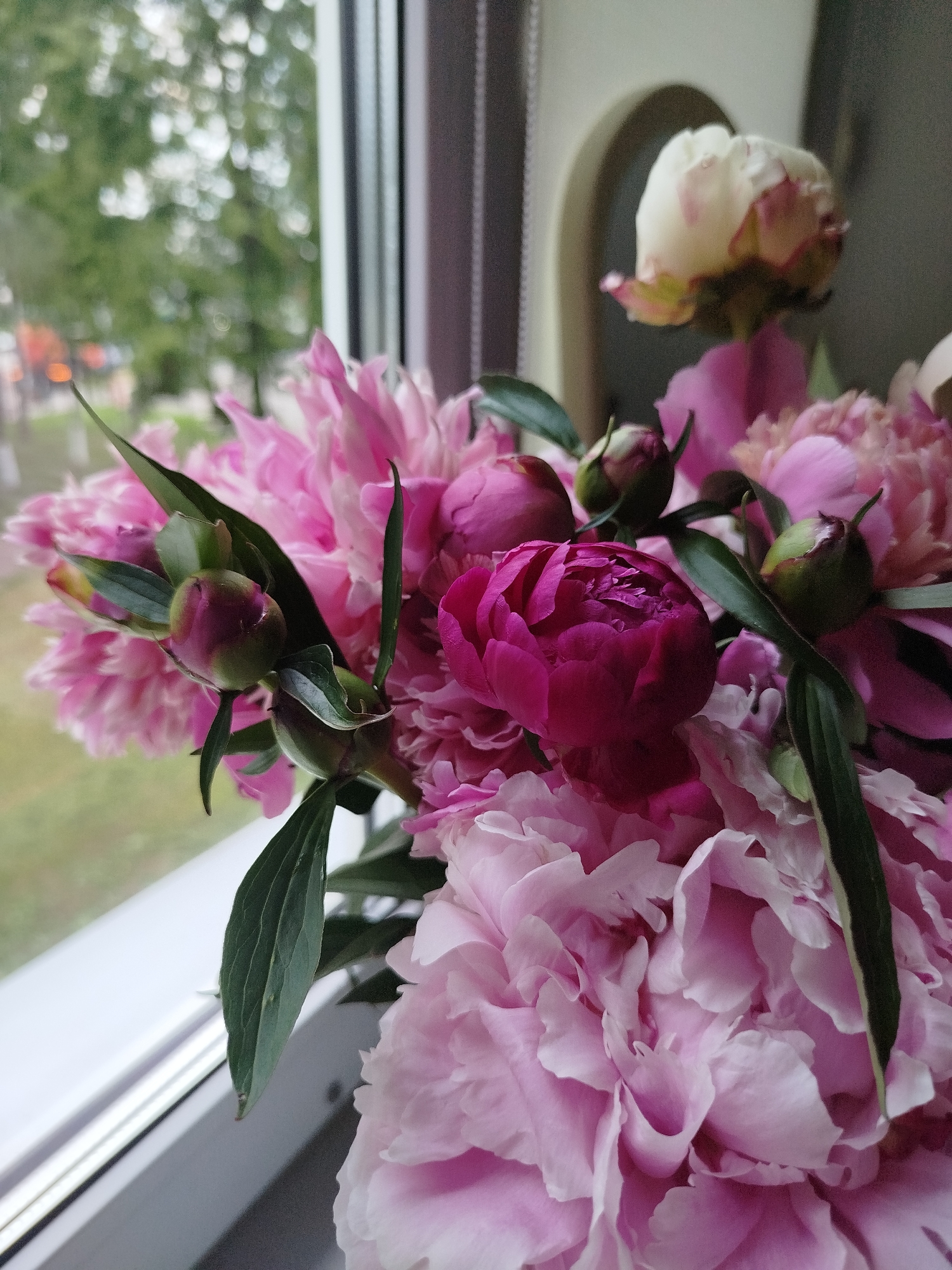 A close-up, eye-level shot focuses on a bouquet of pink and white peonies, with some buds still closed, positioned on a white windowsill. Through the window, a blurry background reveals green foliage, suggesting an outdoor setting with trees. The room appears to be dimly lit. The overall scene is a still life of flowers against a natural backdrop.