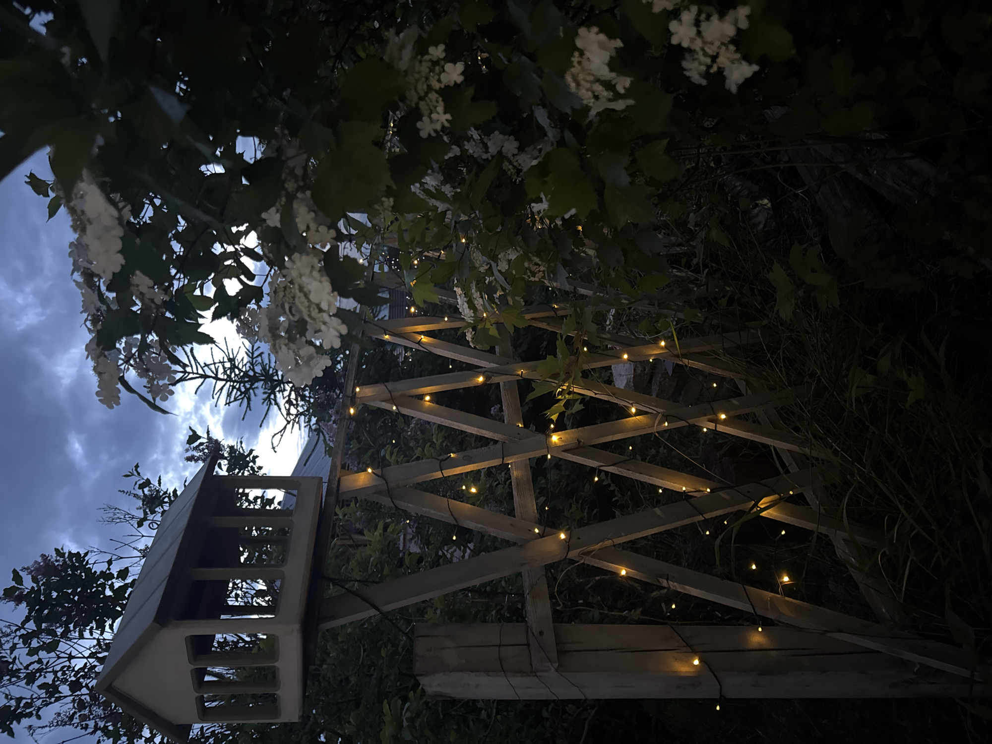 The image depicts a dimly lit garden scene in Khomutovo, Russia, at dusk. A wooden birdhouse, elevated on a diagonal lattice structure, is visible on the left side of the frame. String lights with small, warm-toned bulbs are draped across the lattice, creating a festive atmosphere. To the right, white blossoms on a dense green bush are partially illuminated by the ambient light. The background shows a dark sky with cloudy formations and the silhouettes of trees and foliage. There are no people or animals present in the scene.