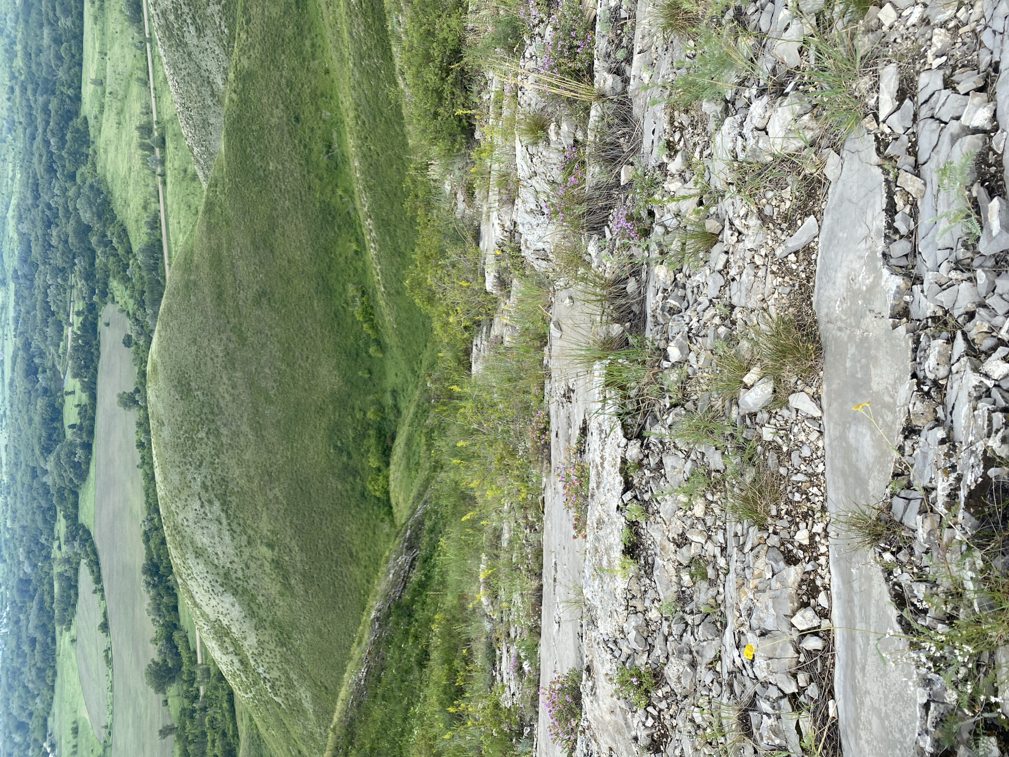 The image depicts a natural landscape, likely a hillside or mountainous terrain, with undulating green hills in the background and a rocky, uneven surface in the foreground. The foreground is characterized by large, gray, flat stones interspersed with smaller rocks and patches of dry grass and sparse vegetation. Small clusters of pink and purple wildflowers are visible on the rocky surface, along with a few yellow wildflowers. In the middle ground, the green hills are covered with grass and appear to be a natural prairie or pasture. The background shows a distant view of a forest and more rolling hills under an overcast sky. The overall scene conveys a sense of remote, natural wilderness. The prompt does not provide information about the city of Verkhnyaya Chernorechka, Russia, nor does it contain any people, actions, or interactions.