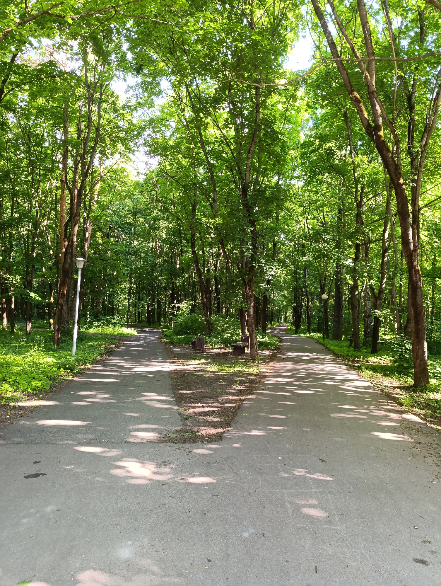 The image presents a vibrant, sunlit scene within a park or wooded area, featuring a paved path that forks into two directions. Tall, deciduous trees with abundant green foliage line both sides of the paths, creating a dense canopy overhead. Bright sunlight filters through the leaves, casting a mosaic of dappled shadows onto the asphalt or concrete ground.
No people are visible, but the scene suggests a recreational setting. On the left path, a modern white lamppost stands upright near the path's edge. Another lamppost is faintly visible further down the right path. A rustic wooden park bench is situated beside the right path, and another is barely visible in the distance on the left path. The ground flanking the paths is covered with lush green undergrowth and grass.
The paths appear well-maintained, indicating they are used for walking, jogging, or cycling. A notable detail is a hopscotch grid drawn in white chalk on the right-hand path in the foreground, suggesting recent children's play or activity. The time of day appears to be late morning or early afternoon due to the strong sunlight and distinct shadows, and the verdant leaves point to either spring or summer. The overall mood is peaceful and refreshing. There is no visible text in the image.