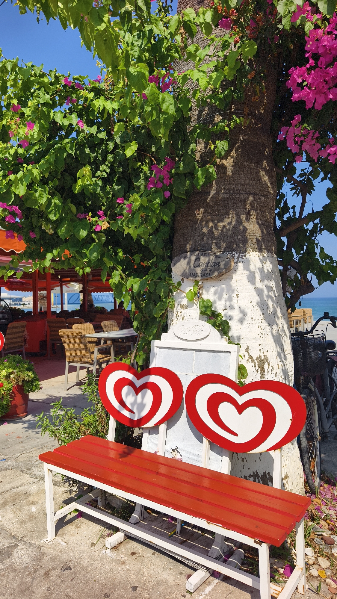 In Kuşadası, Turkey, a red and white bench sits on a paved area in front of a tree with pink bougainvillea. Two heart-shaped decorations, red with white swirls, are attached to the back of the bench. Behind the bench, a white sign with a Coca-Cola logo is visible. In the background, an outdoor seating area of a cafe with orange umbrellas and wicker chairs is set up near the sea. The sky is clear and blue. A bicycle with a basket is parked to the right of the bench.