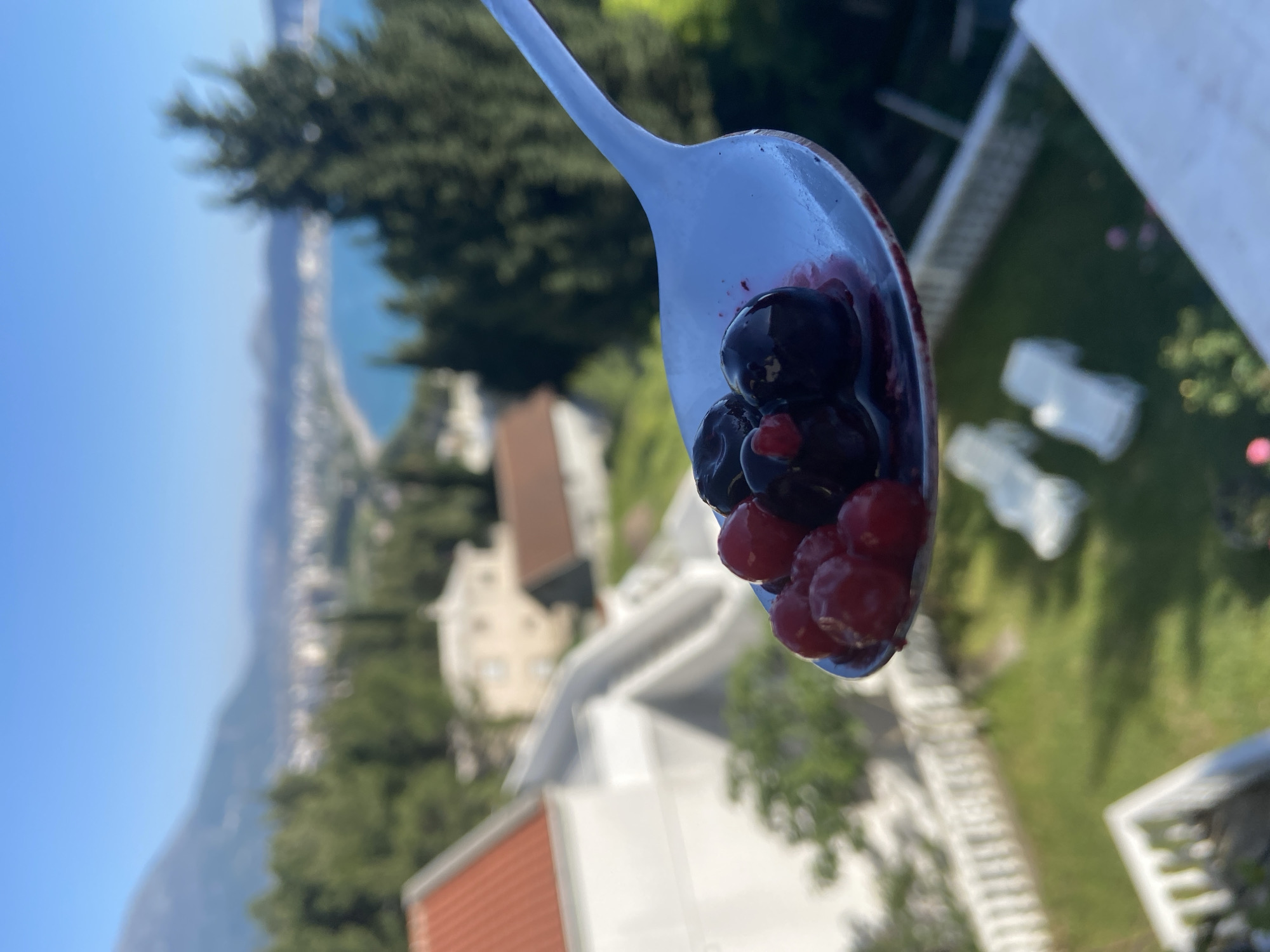 A close-up shot presents a spoonful of mixed berries—red currants and what appear to be black currants or blueberries. The spoon is held in the foreground, with the berries appearing moist and slightly crushed. The background is a blurred outdoor scene. The landscape includes trees, buildings, a body of water that appears to be the Adriatic Sea and a mountain range suggesting the location is in the vicinity of Šušanj, Montenegro. Visible in the mid-ground are architectural structures that seem to be part of a residential area, possibly villas or houses. The sky is clear and blue.