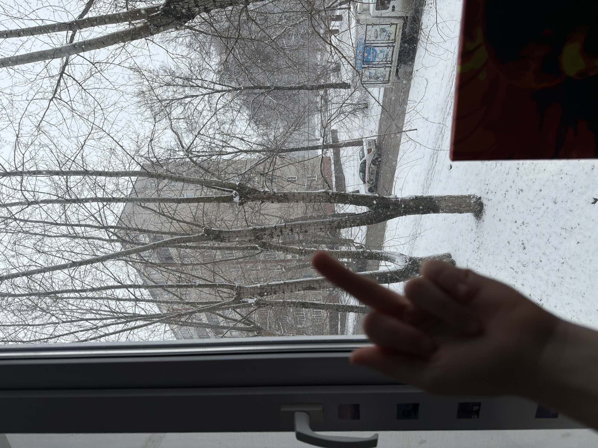 A medium-angle, indoor photograph shows a view through a closed, white-framed window on a snowy day. The window's handle is visible in the lower center. Outside, a leafless tree occupies the center of the frame, with a multistory building visible through its branches. A street runs perpendicular to the window and a parked white vehicle and what appears to be a bus stop or advertisement kiosk are visible on the right side. The snow covers all outside surfaces. An arm and a hand giving the middle finger gesture are superimposed on the foreground, obscuring the lower right view. A portion of a framed photograph is visible in the upper right corner of the image. The location is possibly in Perm, Russia.