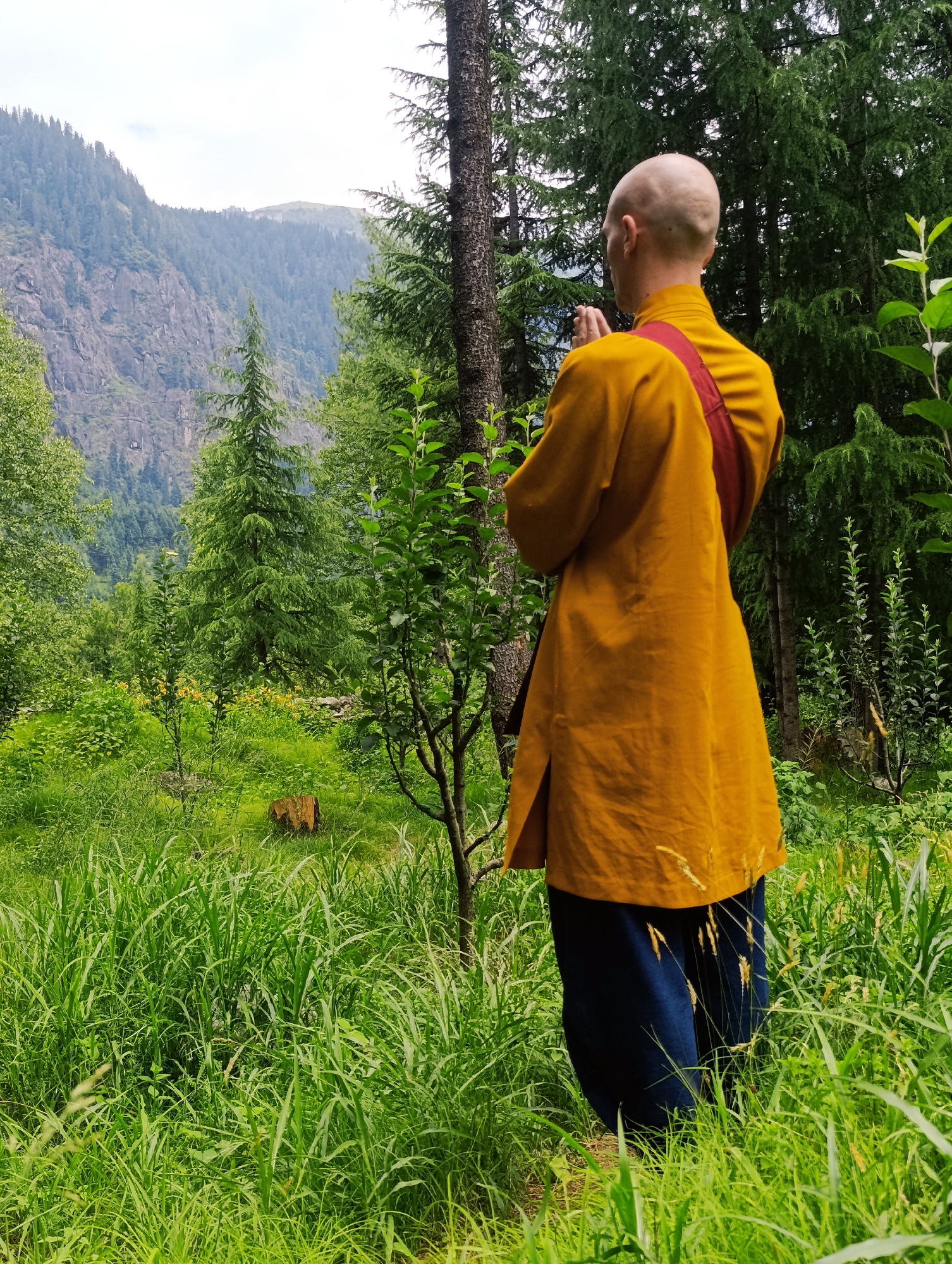 A bald monk in a saffron robe and dark blue pants stands in a grassy clearing in the mountains of Shanag, India, facing away from the camera. The monk has his hands pressed together in a prayer-like gesture. The background features a dense forest of tall evergreen trees, a steep, rocky mountainside, and a cloudy sky. The foreground is filled with tall, lush green grass and some small trees. A cut tree stump is visible in the middle ground.