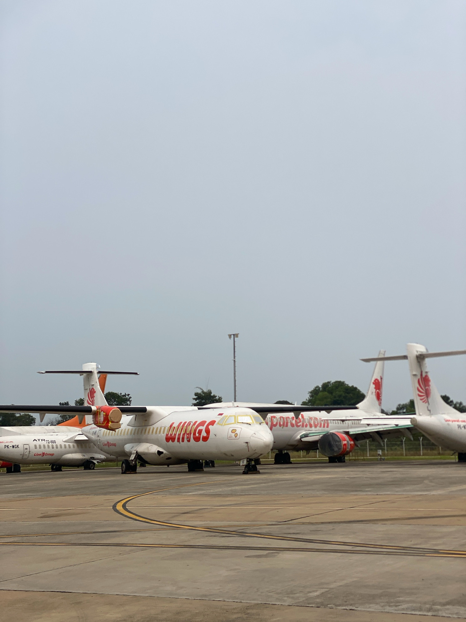 The image shows multiple airplanes parked on an airfield. In the foreground, a paved surface with yellow lines indicates a taxiway. Several airplanes are visible, with the closest one having "Wings" written on its side in red. The airplane to the left has "ATR 72-600" and "Lion Group" printed on its fuselage. Another airplane further to the right has "parcel.com" written on its side. Trees and a tall pole with lights are visible in the background. The sky is overcast. This scene is likely at Hang Nadim International Airport (BTH) in Batam, Indonesia, a common location for various airlines, including Wings Air, to park their aircraft.
