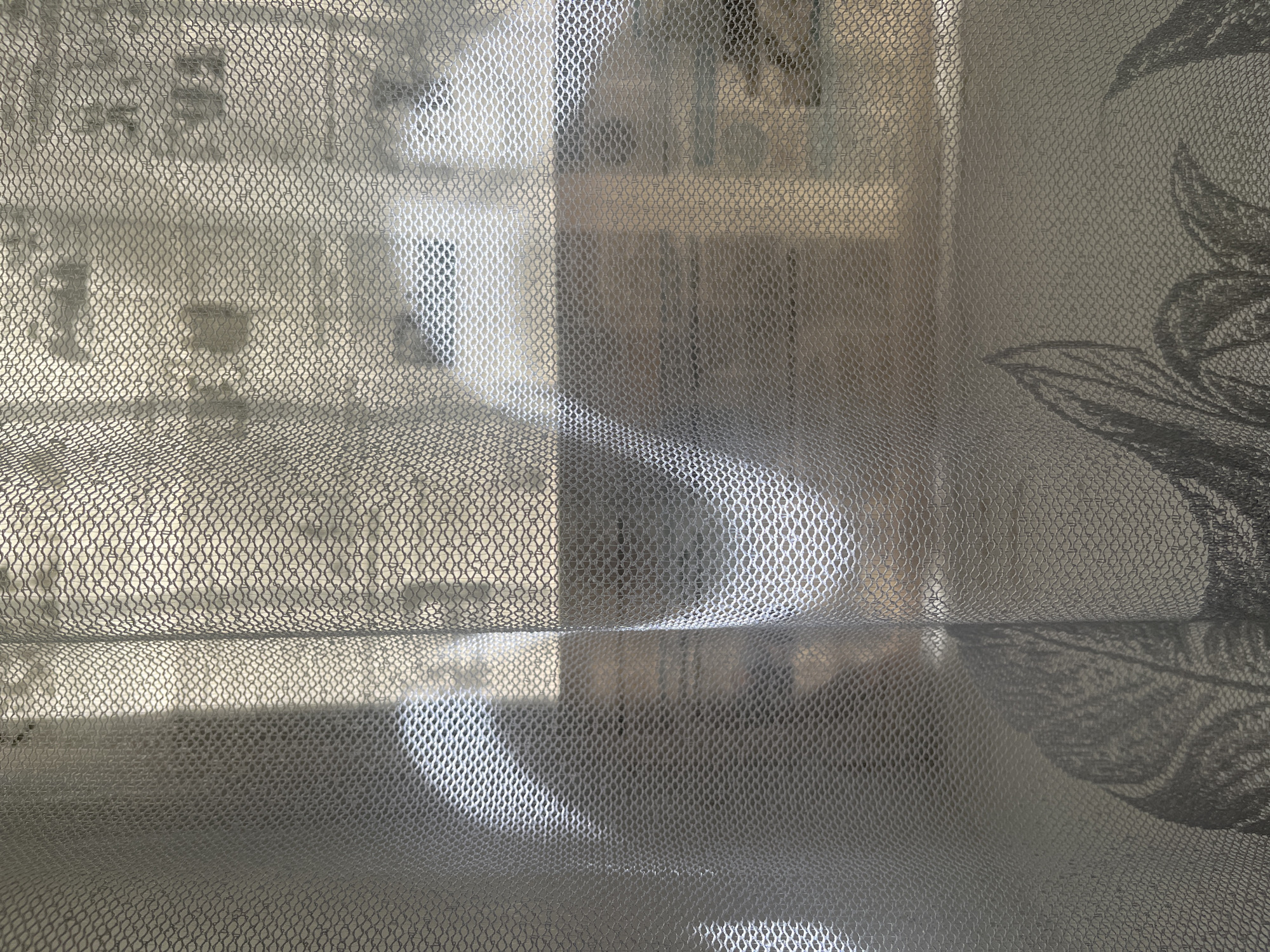 This is a close-up, eye-level, medium shot of a sheer white lace curtain with a honeycomb pattern. The curtain is drawn, obscuring the view of what is behind it, but light filters through, creating diffused shadows and highlights. The fabric has a delicate texture and drapes in soft folds, some of which cast darker shadows against the lighter areas. In the lower portion of the image, a faint, darker floral pattern is visible on the curtain itself. The overall impression is one of diffused light and subtle textures, with the curtain acting as a soft barrier between the viewer and the obscured background. The scene is indoors, implied by the presence of the curtain.