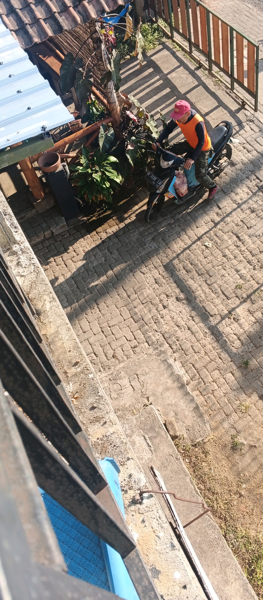 The image depicts a scene from a high vantage point, looking down on a person on a motorcycle in what appears to be an outdoor area in Bocek, Indonesia. The ground is paved with interlocking bricks, and the lighting suggests it is daytime, with strong shadows cast by an overhead structure and a fence.
In the center of the image, a person wearing a pink cap and an orange vest over a dark long-sleeved shirt is seated on a dark-colored motorcycle. They are also wearing camouflage patterned pants and dark shoes with red accents. The person's hands are on the handlebars. A light blue bag or container is visible in front of them on the motorcycle. The motorcycle has a license plate with the inscription "N 3235 LA".
To the left of the motorcycle, there is dense foliage, including large-leafed plants. Behind the plants, there's a structure with a corrugated metal roof and bamboo elements. A terracotta pot is also visible.
To the right of the motorcycle, a wooden slatted fence runs diagonally across the upper right portion of the image. The background beyond the fence is blurred, but appears to be vegetation.
The foreground of the image shows a concrete ledge and a dark metal railing, indicating the viewpoint is from a higher level, possibly a balcony or a higher building. The concrete ledge shows some wear and tear, with a rusted metal object protruding from it. A bright blue object with a woven texture is visible beneath the railing in the lower left. The overall impression is of a residential or semi-commercial area with a mix of natural elements and man-made structures.