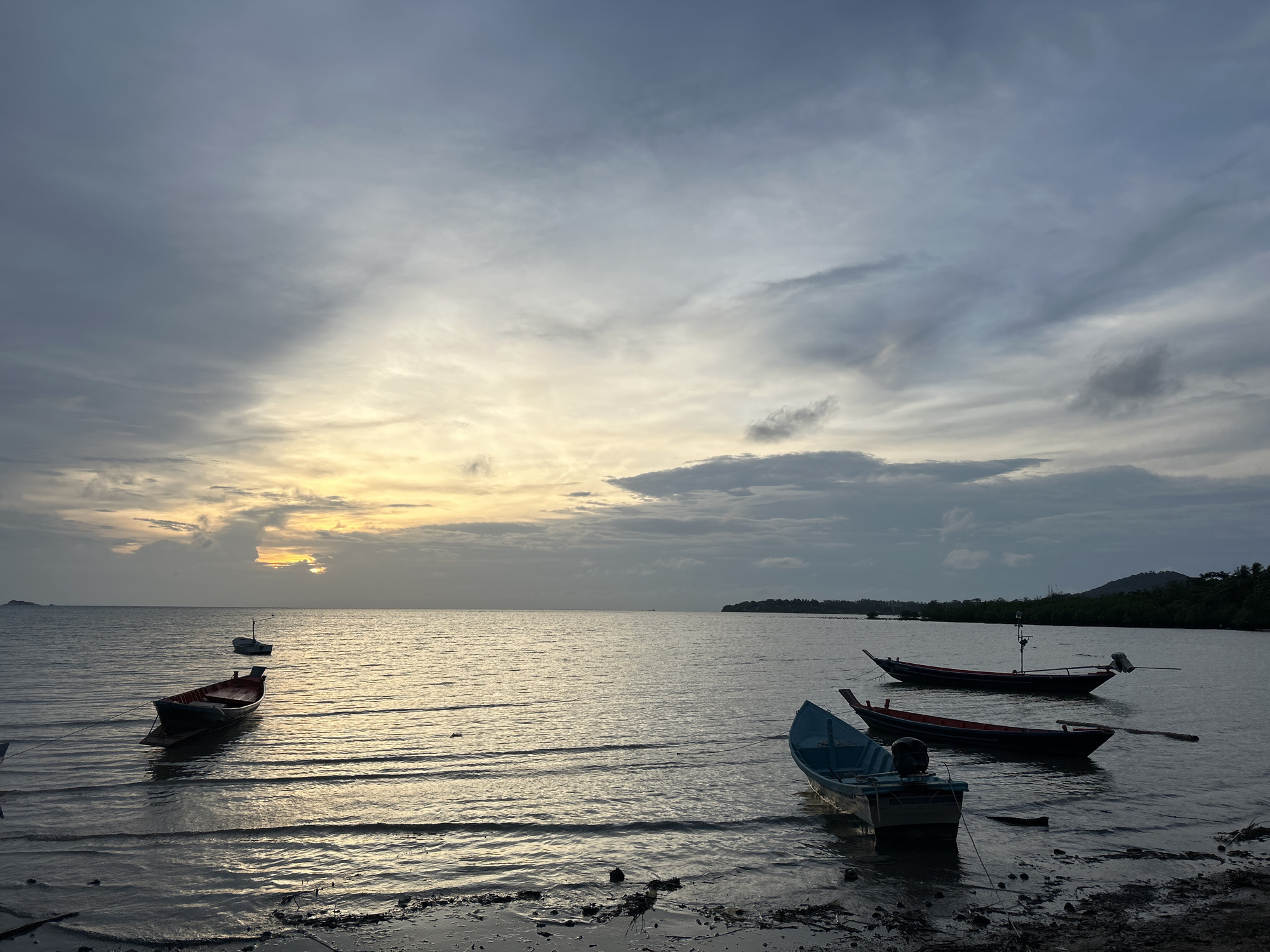 The image shows a coastal scene in ตำบลเกาะพะงัน, Thailand. Several small fishing boats are anchored near the shore, with a cloudy sky overhead. The water is calm with visible reflections. The tide is low, exposing a muddy shoreline. The background reveals hints of vegetation and distant land. The sky has a subdued golden glow near the horizon, suggesting either sunrise or sunset. There are no people visible in the scene.