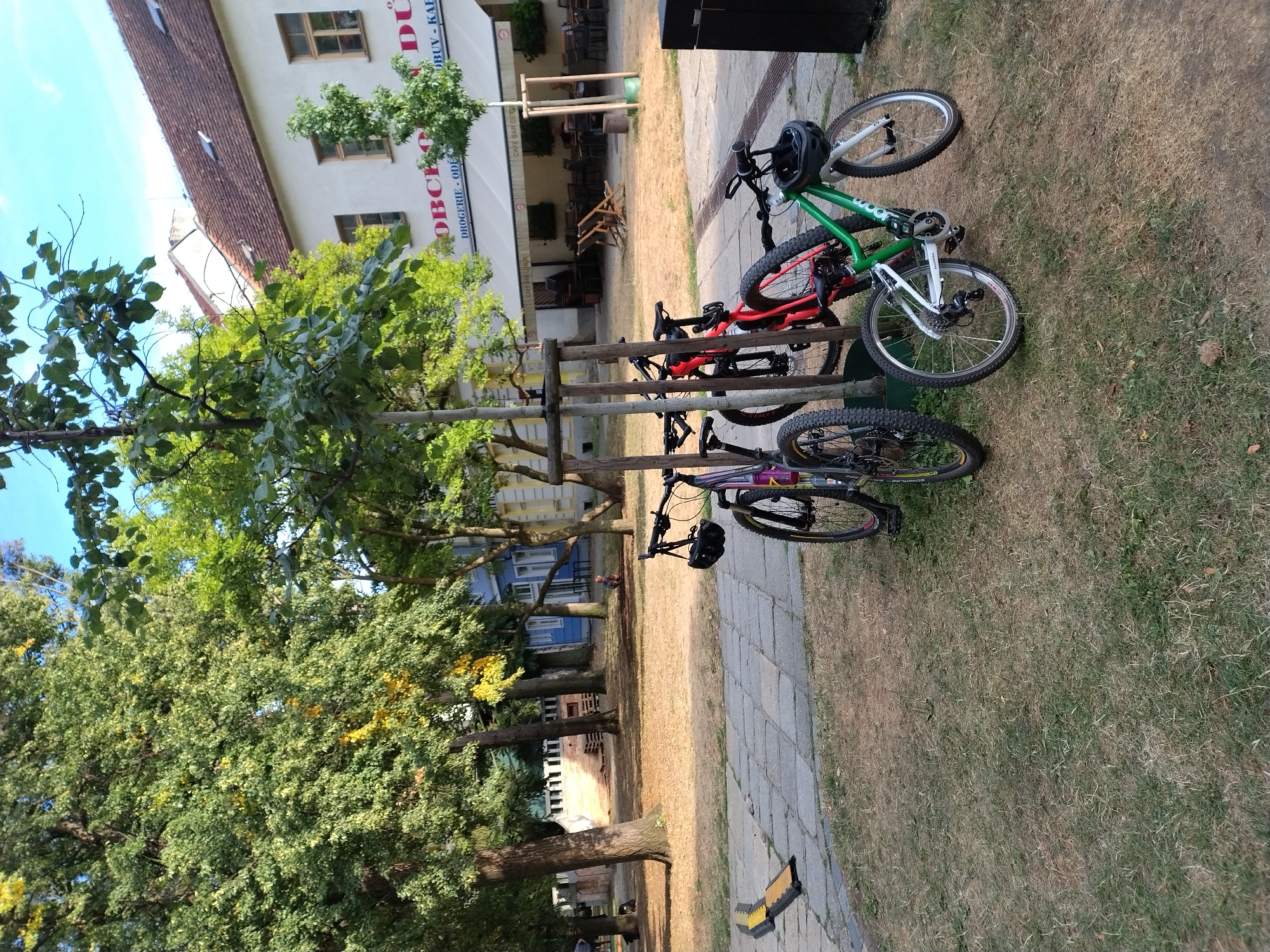 In Písek, Czechia, on a paved area adjacent to a grassy patch, three bicycles are parked next to a small tree. Two of the bicycles are upright, leaning against the tree, while the third, a green bike, stands independently. The bicycles are all mountain bikes and appear to be adult-sized, with one exception being a smaller green bicycle. In the background, a building with a white facade and a tiled roof is visible. The building has several windows and a covered outdoor seating area with tables and chairs. The overall scene suggests a public space or a courtyard in a town setting, with elements of nature like trees and grass interspersed with urban structures.