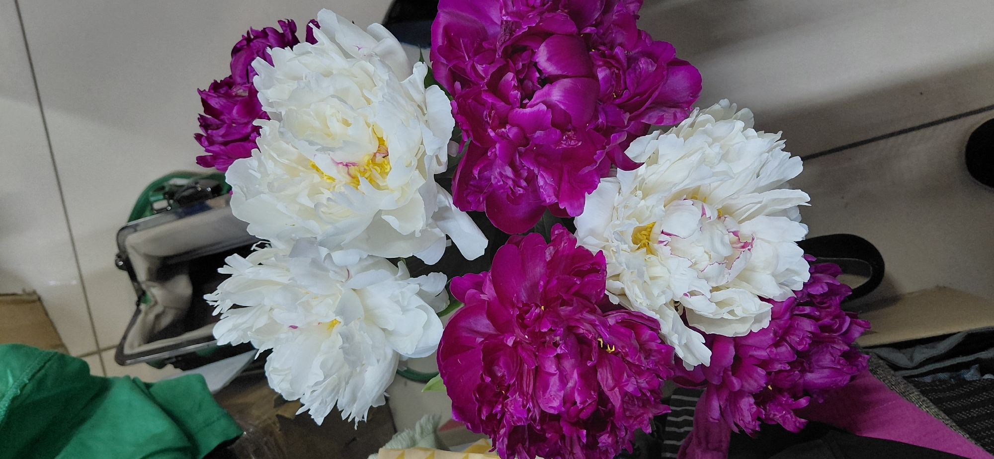 A top-down, close-up shot displays a bouquet of peonies, some white with hints of pink and yellow, and others a deep magenta. The flowers are arranged in a way that suggests they are in a vase, though the vase itself is not fully visible. The background consists of a blurry mix of a green garment on the left, and what appears to be a light-colored tiled surface. The image does not provide any information about a specific location in the city of Magnitogorsk, Russia. There are no people or actions depicted.