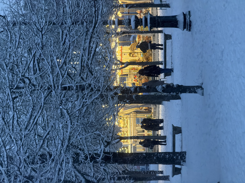 A snow-covered scene captures a carousel illuminated by warm lights, nestled between trees. The branches of the trees are covered in snow. Several people stand near the carousel, which is fenced by decorative posts. Snow covers the ground.
