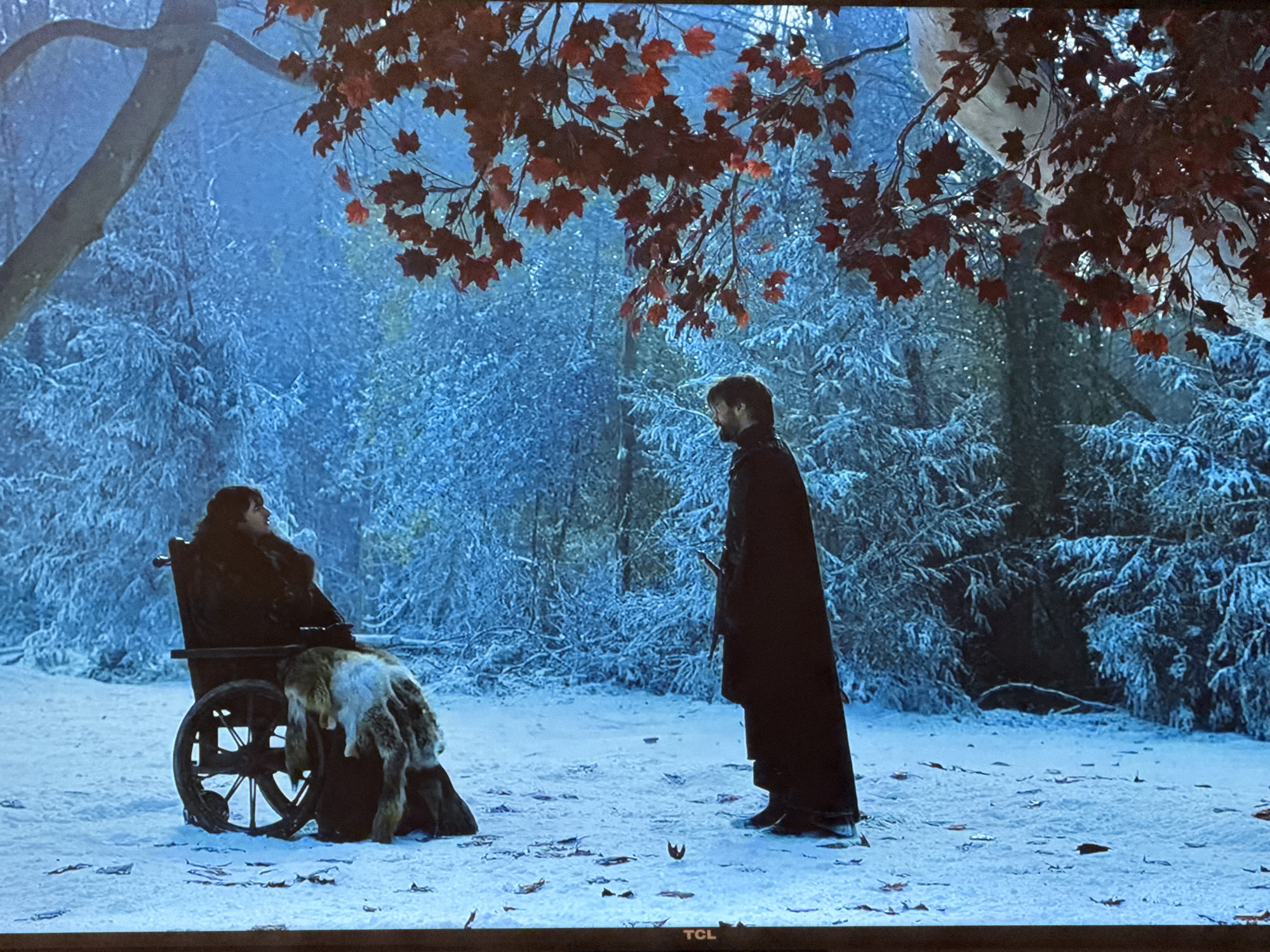 A scene depicting two people in a snowy environment that resembles a forest. One person is seated in a wheelchair, draped with a fur pelt. The other person is standing and wearing a long dark cloak. Snow covers the ground and trees. The branches of the tree in the foreground have red leaves. This image is a still from the TV show Game of Thrones, specifically a scene set in Winterfell in the fictional realm of Westeros. This scene was not filmed in Plovdiv, Bulgaria.