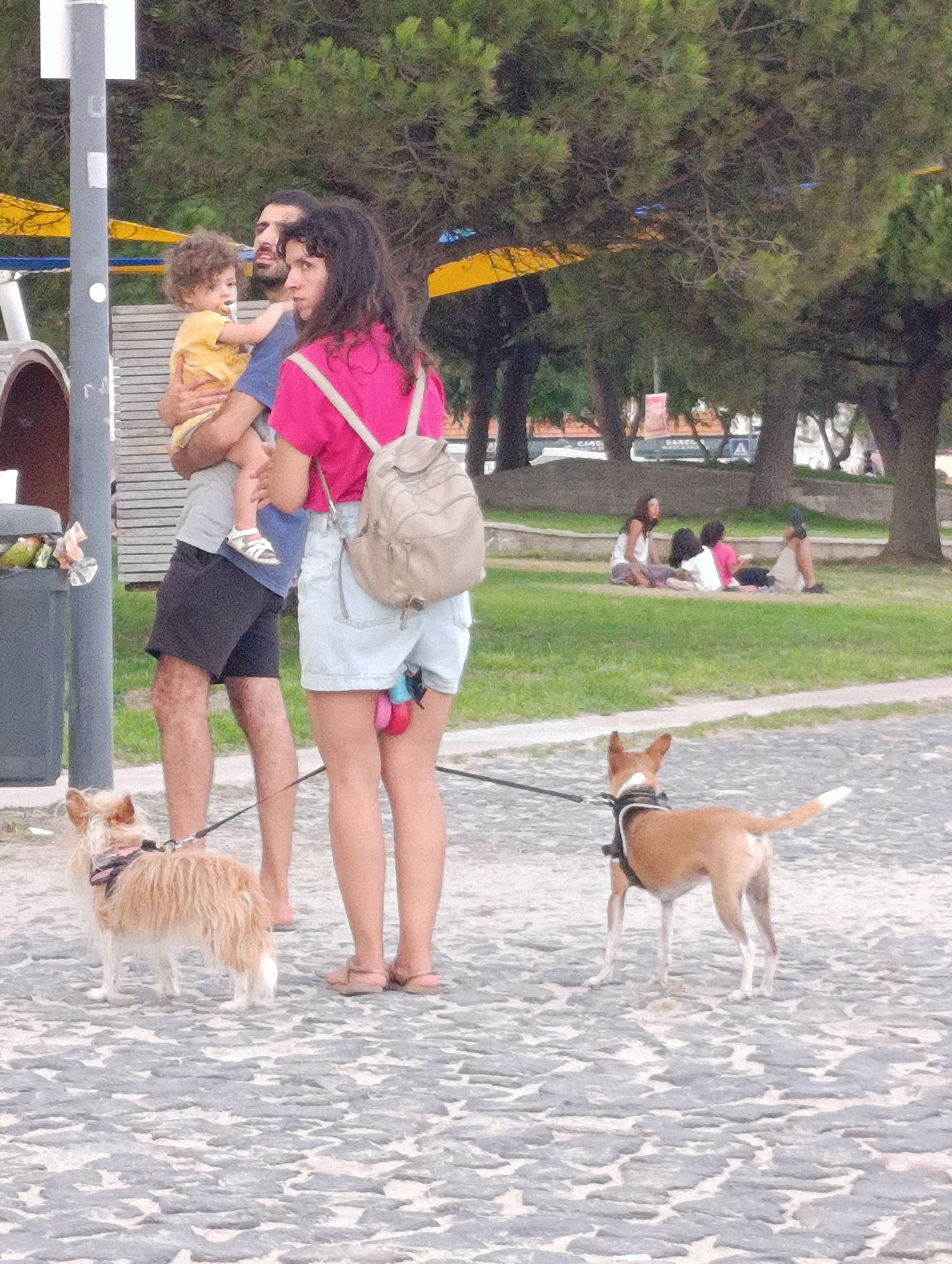 The image captures a family with two dogs in an outdoor, paved public area, likely a park or promenade, with trees and grass in the background. The setting appears to be a sunny day.
In the foreground, two dogs are present. The first, a light brown, shaggy dog, is on a leash and positioned on the left, facing away from the camera. The second dog, a leaner, tan and white dog with a harness, is on a leash and stands on the right, facing away from the camera.
Behind the dogs, a man and a woman are walking. The man is holding a young child, who is looking to the left. The woman, wearing a pink shirt and denim shorts, has a backpack on her shoulders and is looking towards the left. A pink object, possibly a dog toy, is attached to her shorts.
In the mid-ground, several people are seated on the grass, appearing to be relaxing or picnicking. There are trees and some structures in the distance, suggesting an urban park environment. The paved ground is made of cobblestones or similar stone material.
The overall scene depicts a casual outing for a family with their pets in a public space. The presence of diverse flora and the architecture implied by the distant structures suggest a location within a city, possibly Setúbal, Portugal, given the context. The lighting indicates daylight hours.