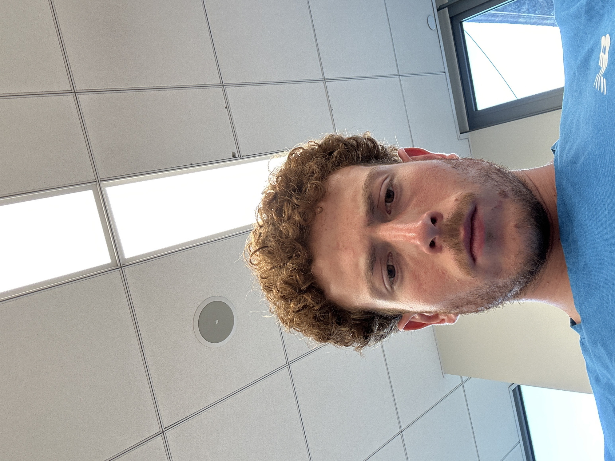 The image is a low-angle selfie of a man with curly brown hair and a short beard. He is wearing a light blue shirt. The background is a drop ceiling with recessed lighting and a circular speaker. A window is visible in the upper right and lower right corners. The location appears to be an office or commercial space in a city, though the exact location within New York City, United States of America, cannot be determined from the image.