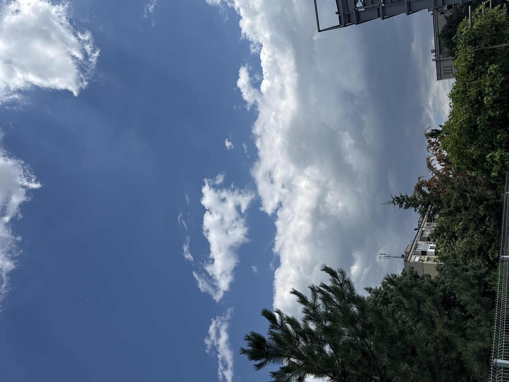The media file is a vertically oriented, outdoor photograph taken in Plovdiv, Bulgaria. The scene captures a bright, partly cloudy sky with a crescent moon visible in the upper left quadrant. A large bank of white, puffy clouds dominates the right side of the frame, contrasting with the clear blue sky on the left.
In the lower portion of the image, there are hints of urban elements. A portion of a building with windows and what appear to be satellite dishes is visible amongst lush green trees. The trees, including a prominent pine tree in the foreground, are dense and verdant. A metal fence runs along the bottom right edge of the frame.
The overall impression is one of daytime, likely late morning or early afternoon, given the brightness of the sky and the presence of the moon. The weather appears fair but with some cloud cover. There is no discernible activity or event taking place; the image focuses on the natural elements of the sky and vegetation, with the urban setting serving as a backdrop. No text is visible in the media file.