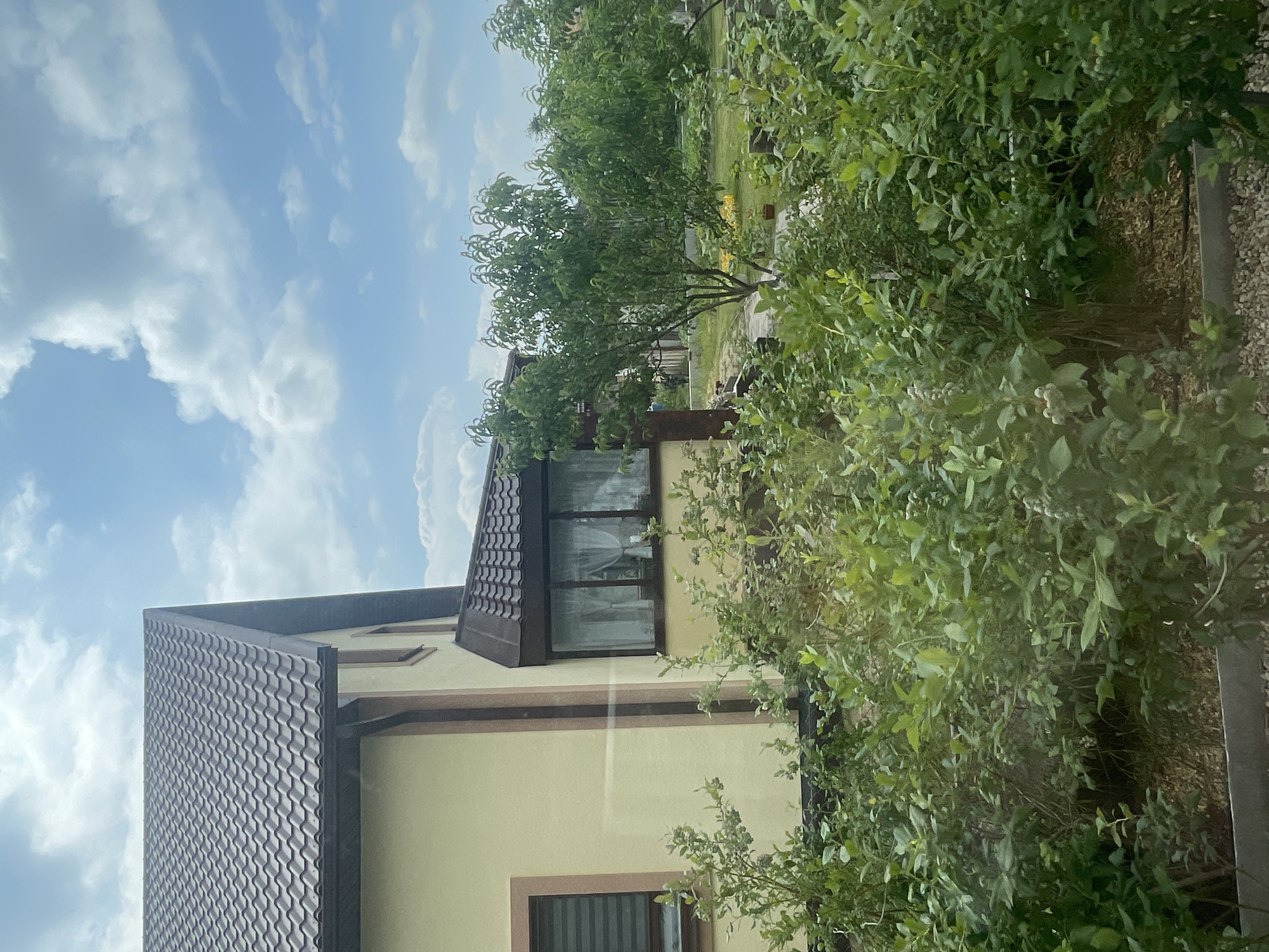 The image displays a residential house with a light yellow facade and a dark brown, wavy tiled roof. A corner of the house is visible, featuring a dark brown trim and a window with white curtains. To the right of the house, dense green foliage from trees and bushes obscures much of the background, hinting at a garden or yard. The sky above is a bright blue with scattered white clouds, suggesting a clear, possibly sunny day. The orientation of the image is such that the sky is on the left and the house and vegetation are on the right. The overall scene depicts a tranquil, daytime setting in a rural or suburban environment. No people or specific activities are visible, but the presence of a house and garden implies a domestic setting. The location context provided is Мухавецкі сельскі Савет, Belarus.