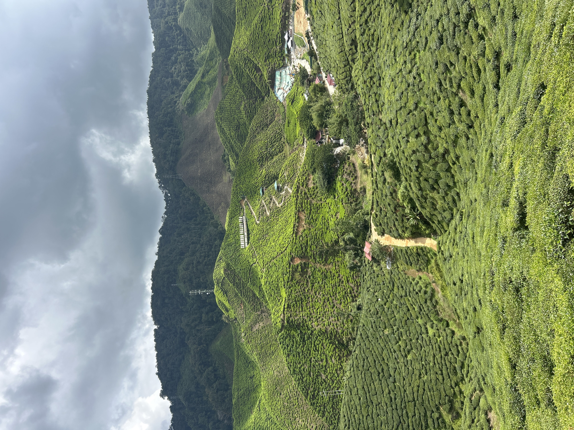 An aerial view captures the sprawling, vibrant green tea plantations of Cameron Valley Tea in Tanah Rata, Malaysia. The undulating hills are meticulously terraced, creating a mesmerizing pattern of lush vegetation that stretches as far as the eye can see. In the mid-ground, a winding dirt path leads towards a cluster of buildings, including a red-roofed structure. Further into the valley, a resort or recreational area with several buildings and swimming pools is visible. A prominent sign on a hilltop reads "CAMERON VALLEY TEA". The landscape is framed by the dark, dramatic clouds of an overcast sky, hinting at a recent or approaching rain shower. The overall scene is one of natural beauty and agricultural vastness.