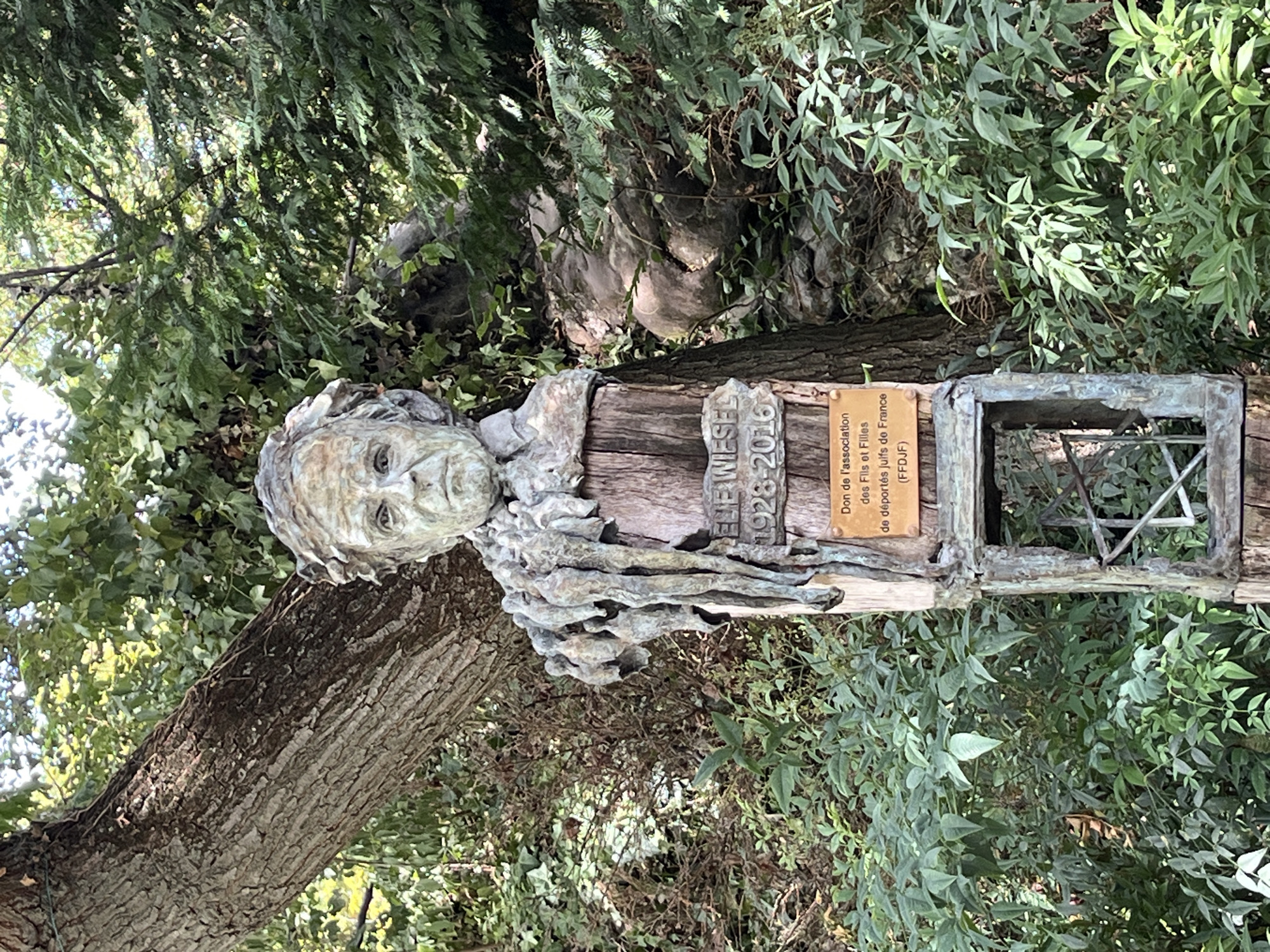 This is a medium shot, eye-level, outdoor photograph of a bust of a man sculpted in bronze, displayed on a wooden post in a garden setting. The bust depicts a man with a stern expression, his shoulders draped with what appears to be sculpted figures hanging downwards. The wooden post has a nameplate that reads "ELIE WIESEL 1928-2016" and a smaller plaque below it that reads "Don de l'association des Fils et Filles de déportés juifs de France (FFDJF)". The post is weathered and has some decorative metalwork at its base, including what looks like a Star of David. The bust is situated in front of a large tree trunk and surrounded by lush green foliage and other plants. The lighting suggests it is daytime. This monument is located in the Jardin des Plantes in Paris, France, dedicated to Elie Wiesel, a Holocaust survivor and Nobel Peace Prize laureate.