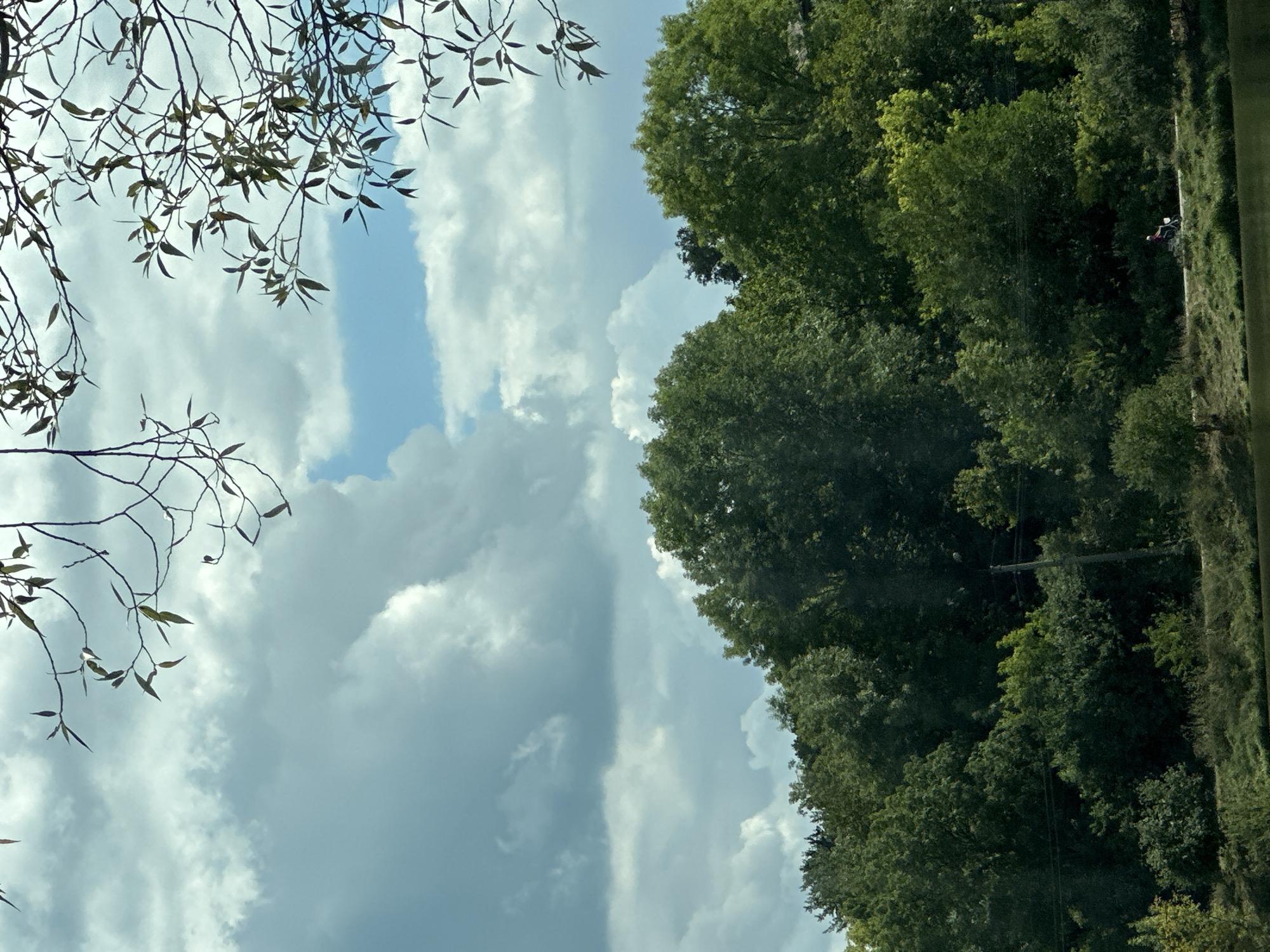 The image depicts a landscape scene with a body of water in the foreground and a dense line of trees forming the midground. The background is dominated by a sky with scattered clouds, with branches of a tree visible in the upper portion of the frame. In the far distance, a person is seen riding a bicycle on a path that runs along the edge of the trees. A utility pole is also visible amongst the foliage. The setting appears to be a natural or park-like environment, possibly on the outskirts of a settlement. The image is taken from a slightly elevated perspective looking towards the horizon.