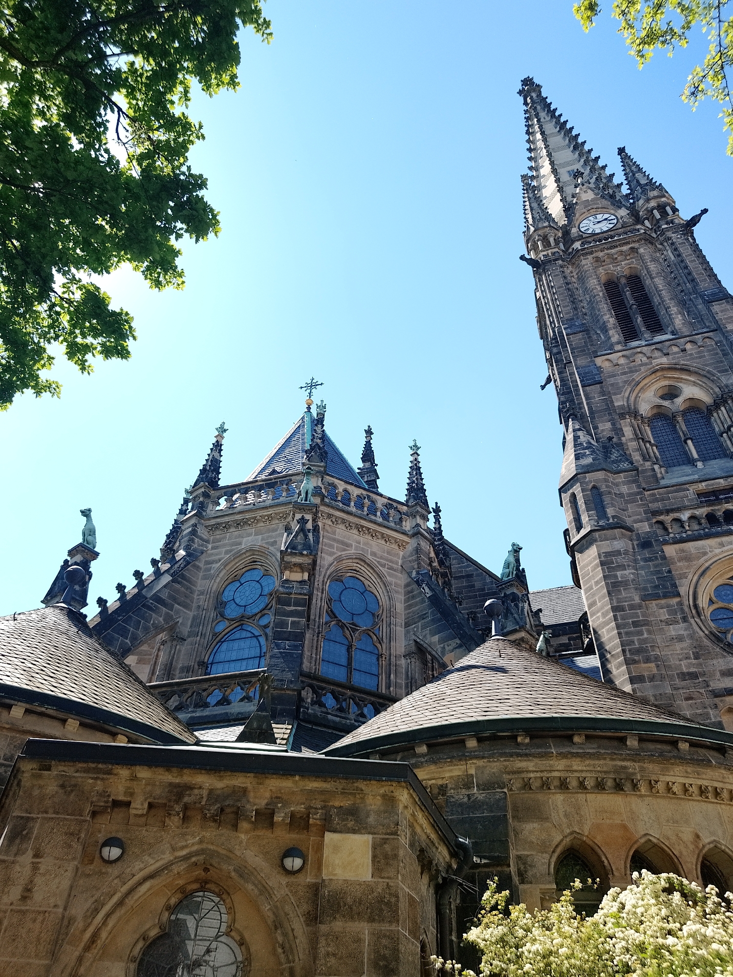 The image captures a low-angle view of a Gothic-style church or cathedral against a clear blue sky, partially framed by tree branches with green leaves in the upper left and right corners. The main structure showcases intricate stonework, pointed arches, and decorative spires. A tall bell tower rises on the right side, complete with a clock face near the top. Statues of dogs or similar creatures are positioned at various points along the roofline. The building's color palette includes shades of gray and brown, highlighting the weathered texture of the stone. The scene appears to be taken during daylight. A patch of flowering plants is visible in the foreground, adding a touch of natural greenery to the urban setting.