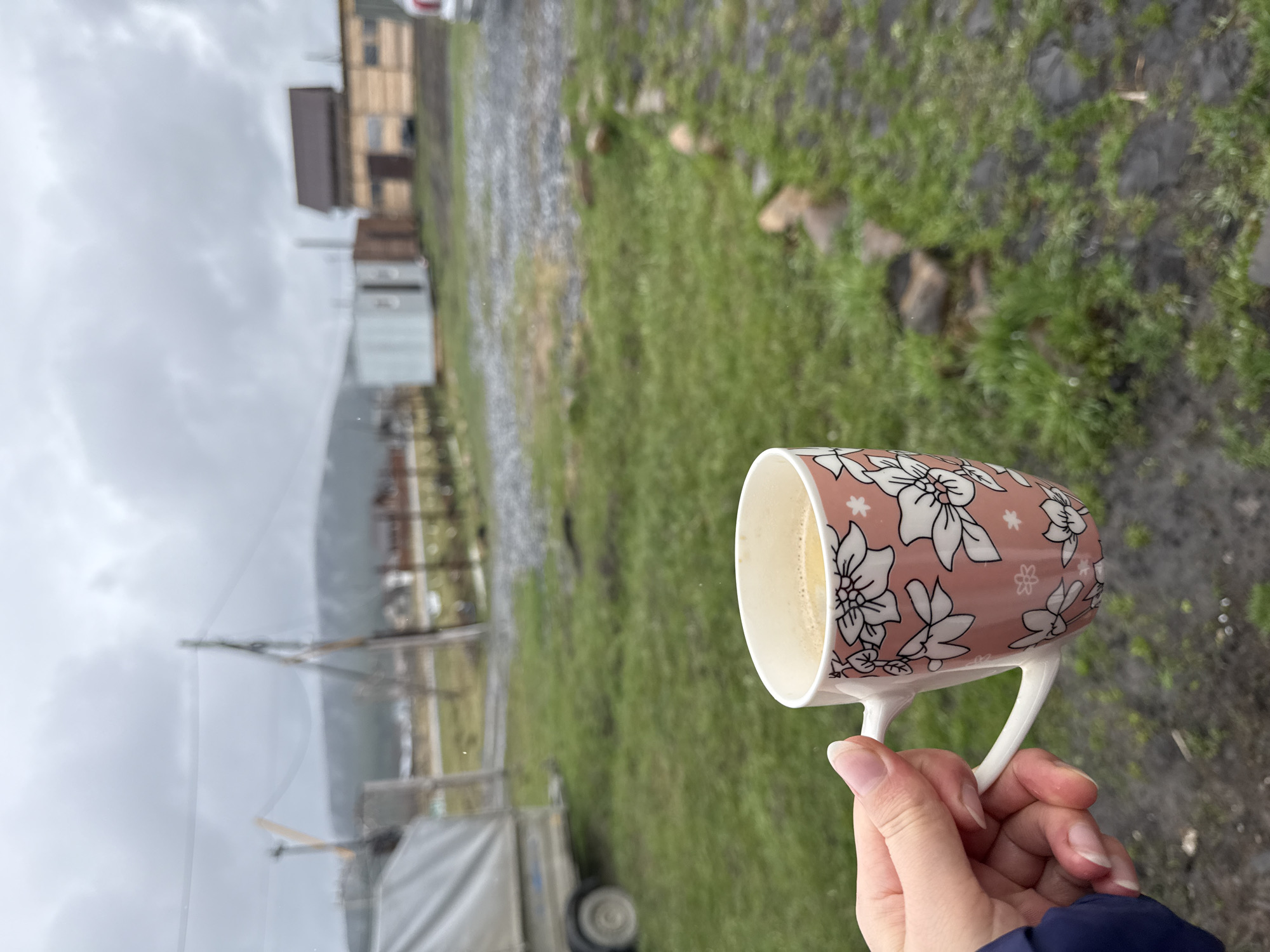 A person's hand holds a ceramic mug with a light pink background and white floral patterns in an outdoor, rural setting. The mug, positioned in the lower right foreground, contains a light beige, foamy beverage. The hand has natural nails and is partially covered by a dark blue sleeve, likely from a jacket.
The background shows a landscape under an overcast sky. The ground consists of green grass, patches of dark soil, and scattered rocks, with a gravel or dirt path running through the mid-ground. Several buildings are visible in the distance, including a multi-story wooden structure and a smaller, possibly metal-sided building. On the left, a light-colored tarp covers what appears to be a trailer or piece of equipment. Further back, faint outlines suggest distant mountains or hills obscured by the heavy cloud cover. The overall weather appears cool and damp due to the overcast conditions. The scene evokes a quiet moment in a natural environment, consistent with the location context of Tyulyuk, Russia. There is no visible text in the image.