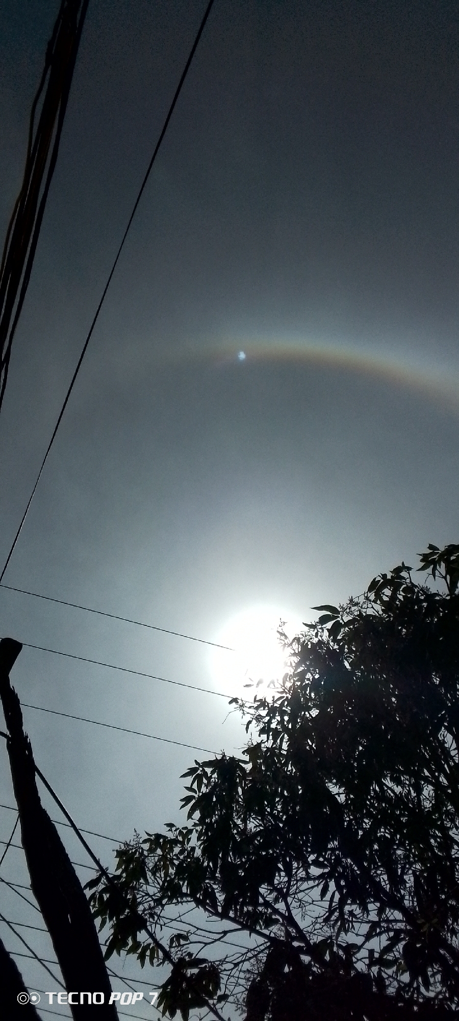 The image captures a bright, sunlit sky in Altagracia, Venezuela. A complete solar halo, a circular rainbow-like band, is visible surrounding the sun. The sun is partially obscured by the dark silhouette of tree branches and leaves in the lower right portion of the frame. In the lower left corner, a dark, possibly concrete or wooden post is visible with a web of overhead electrical wires. The sky is a uniform, pale grey-white, except where the solar halo appears. The "TECNO POP 7" watermark is visible at the bottom of the image.