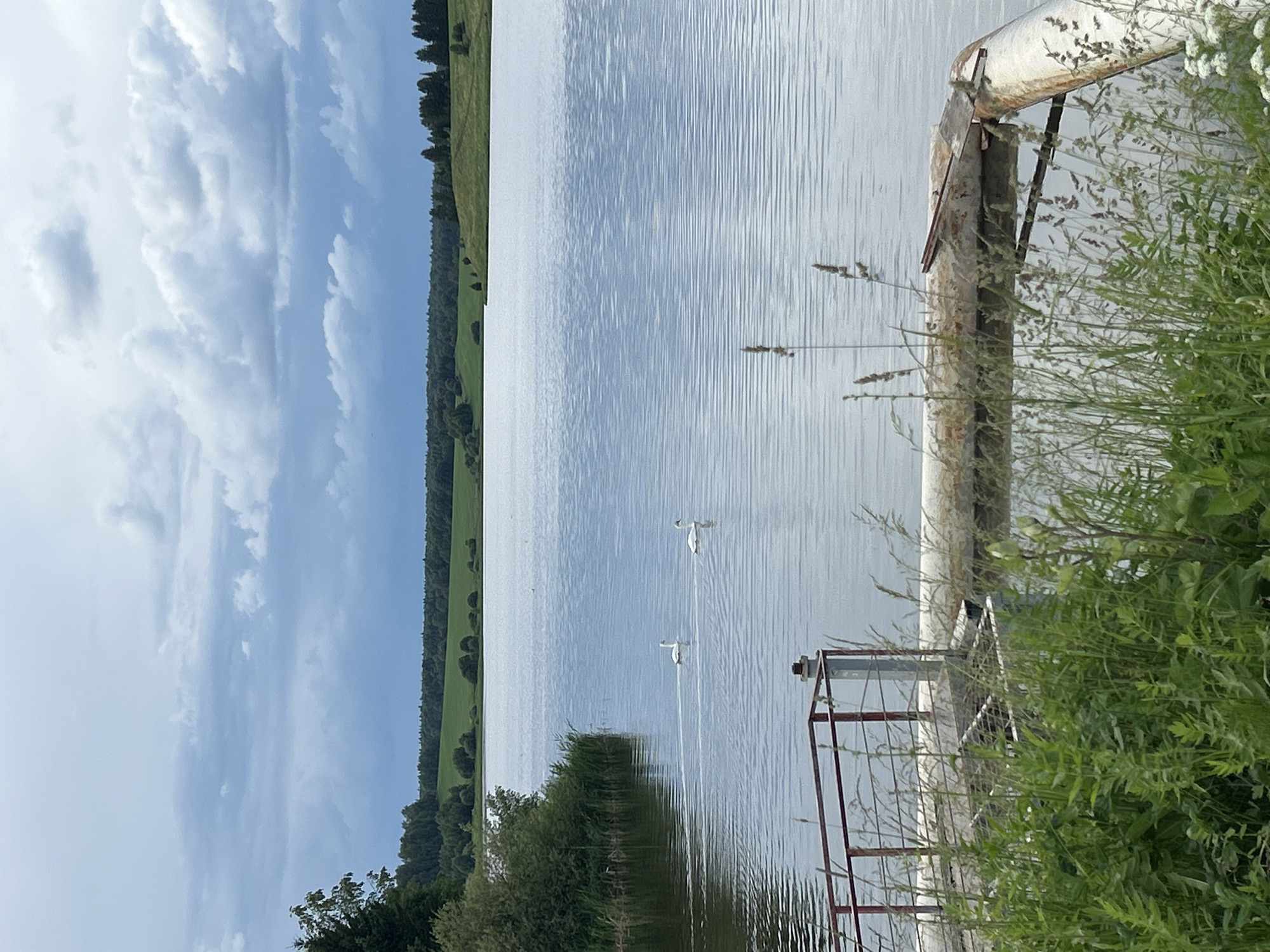 A scenic, eye-level, full shot captures a wide, tranquil body of water under a cloudy sky in Verkh-Rozhdestvo, Russia. Two white swans gracefully glide across the calm surface of the lake, leaving subtle ripples in their wake. The foreground is dominated by lush green vegetation and tall grasses, partially obscuring a rusty metal railing and a large pipe that emerges from the water. Beyond the lake, rolling green hills and a dense line of trees form the distant horizon. The sky is filled with a dramatic display of dark, heavy clouds, hinting at an impending rain shower. The overall atmosphere is one of serene natural beauty, with a touch of industrial presence from the visible pipe and railing.