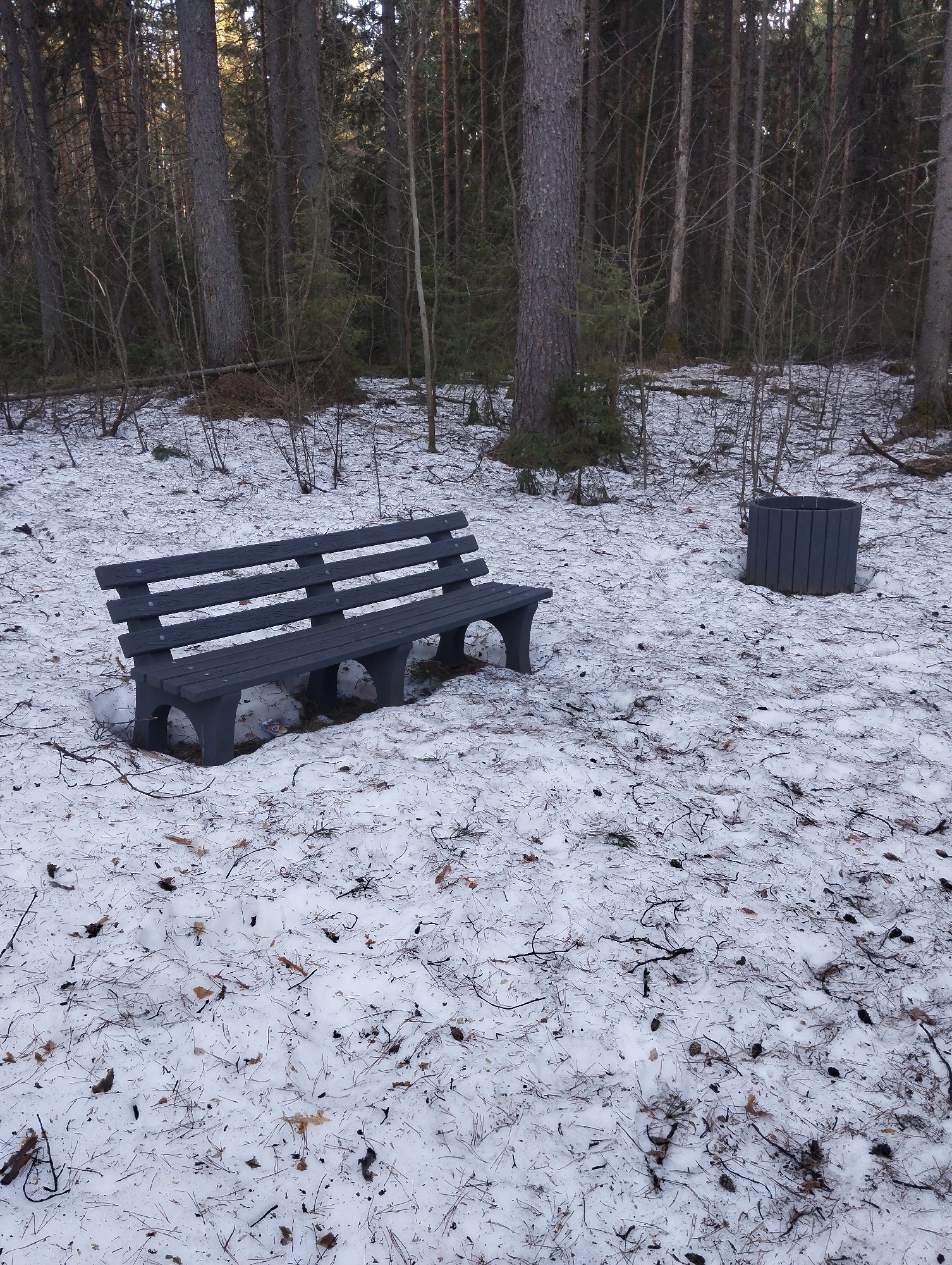 A cold, wintry scene in Votkinsk, Russia, features a dark gray park bench positioned on a light covering of snow scattered with fallen leaves, pine needles, and small twigs. The bench is composed of planks for the seat and backrest, with supporting legs integrated into the design. Beside the bench, a matching dark gray cylindrical trash receptacle stands on the snow. The backdrop reveals a forest setting with closely spaced trees, most of which appear to be deciduous and without leaves. A dusting of snow is present on the ground under the trees, with the overall lighting suggesting a dull or overcast day. No people or signs of recent human activity are apparent.
