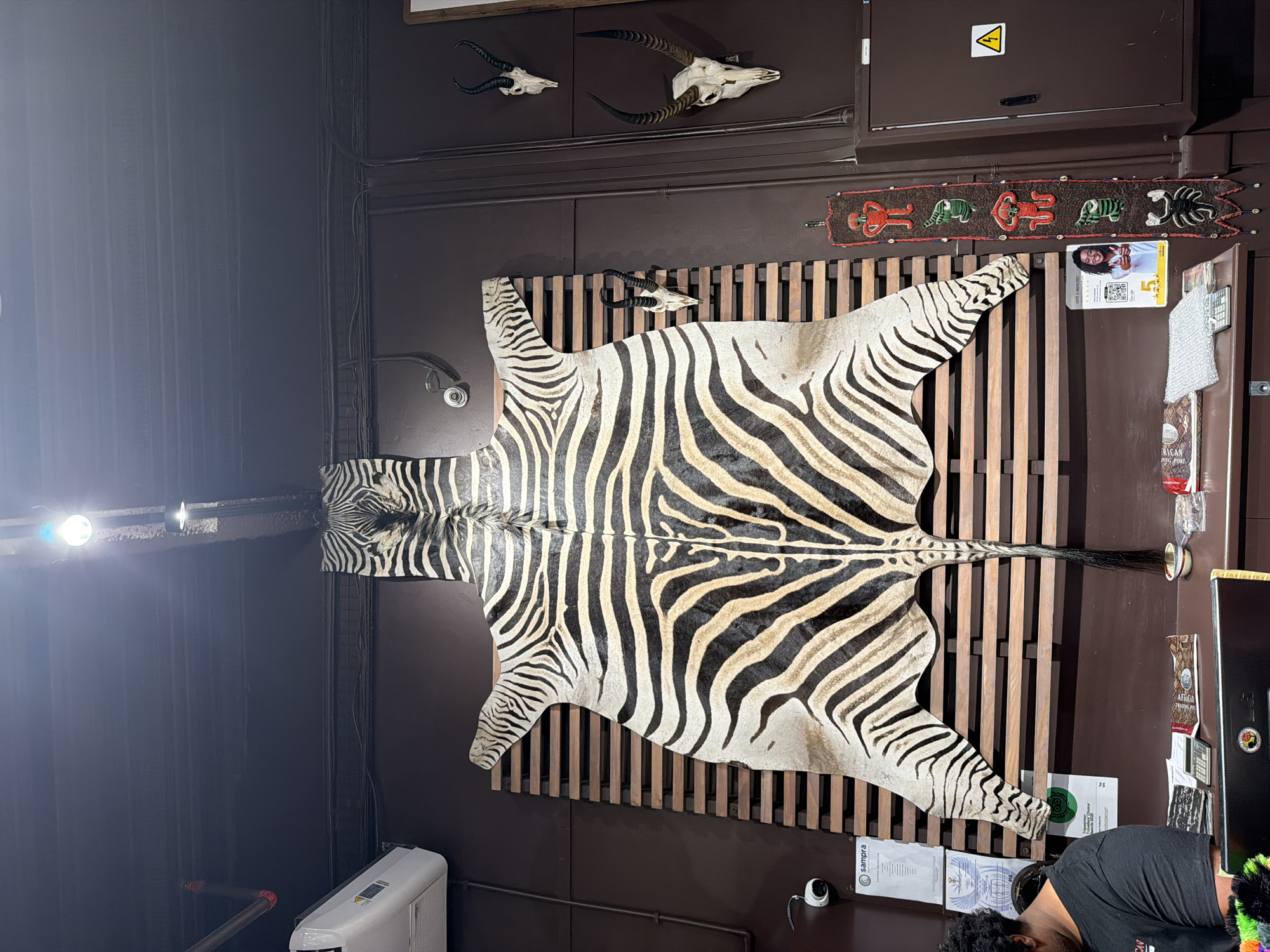 The scene shows a room with a mounted zebra skin rug as a prominent feature. The zebra rug is displayed on a wooden lattice. Above the zebra rug, there are two mounted animal skulls with horns. To the right of the zebra rug, there are various items attached to the wall, including a decorative tribal-themed banner. Adjacent to the banner is a tourist or promotional card depicting a woman with a QR code. Below the zebra rug, there's a security camera, a person wearing a black t-shirt, an air purifier, and various papers on a counter. The walls are a dark brown color. While the image does not explicitly state the location, the presence of African-themed decorations like the zebra rug and tribal banner, together with signage in the bottom right corner, suggest the scene is likely located in Cape Town, South Africa.