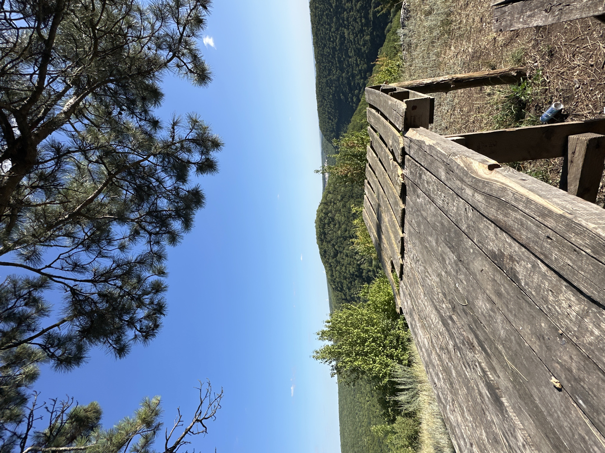 The image depicts a scenic overlook on a clear day, with a wooden railing in the foreground. The railing, made of weathered, grey planks, runs diagonally across the right side of the frame, suggesting a viewpoint. Beyond the railing, a vast, forested valley stretches out under a bright blue sky. Lush green trees blanket the rolling hills, fading into a hazy horizon.
To the left of the frame, the dark green needles of pine trees are visible against the sky, their branches framing the expansive view. The overall impression is one of natural beauty and tranquility. The time of day appears to be midday, given the strong sunlight casting shadows and the clear, bright sky.
Notable details include the dry, grassy ground near the railing, with some sparse vegetation. A discarded blue and white cylindrical object, possibly a can or bottle, rests on the ground near the railing. The scene evokes a sense of peace and appreciation for the natural landscape. The location is identified as Pryvorottia Druhe, Ukraine, which adds a geographical context to the image. No people are visible in the image.
