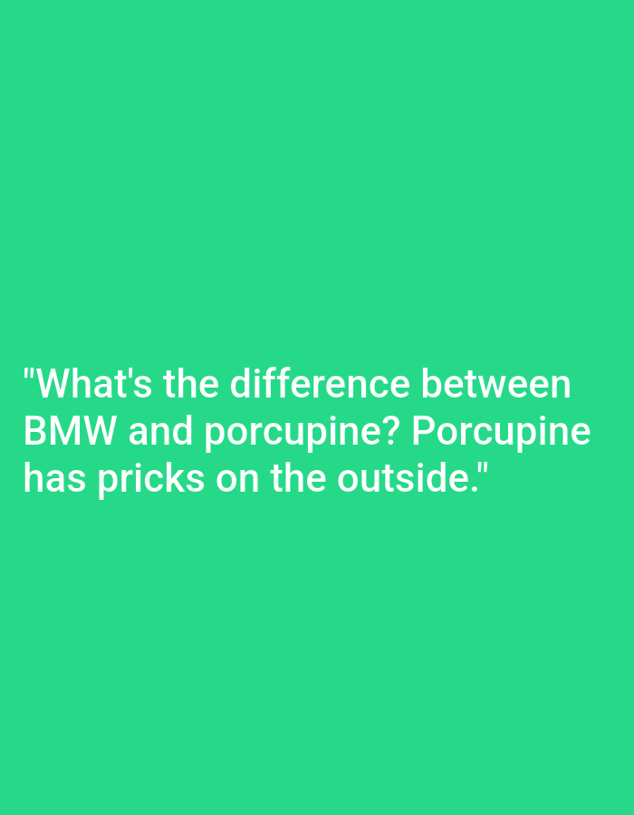 The image is a plain green background with white text. The text reads: "What's the difference between BMW and porcupine? Porcupine has pricks on the outside." There is no discernible location in Kępno, Poland, or any other city. There are no people, subjects, objects, actions, or interactions visible in the image.