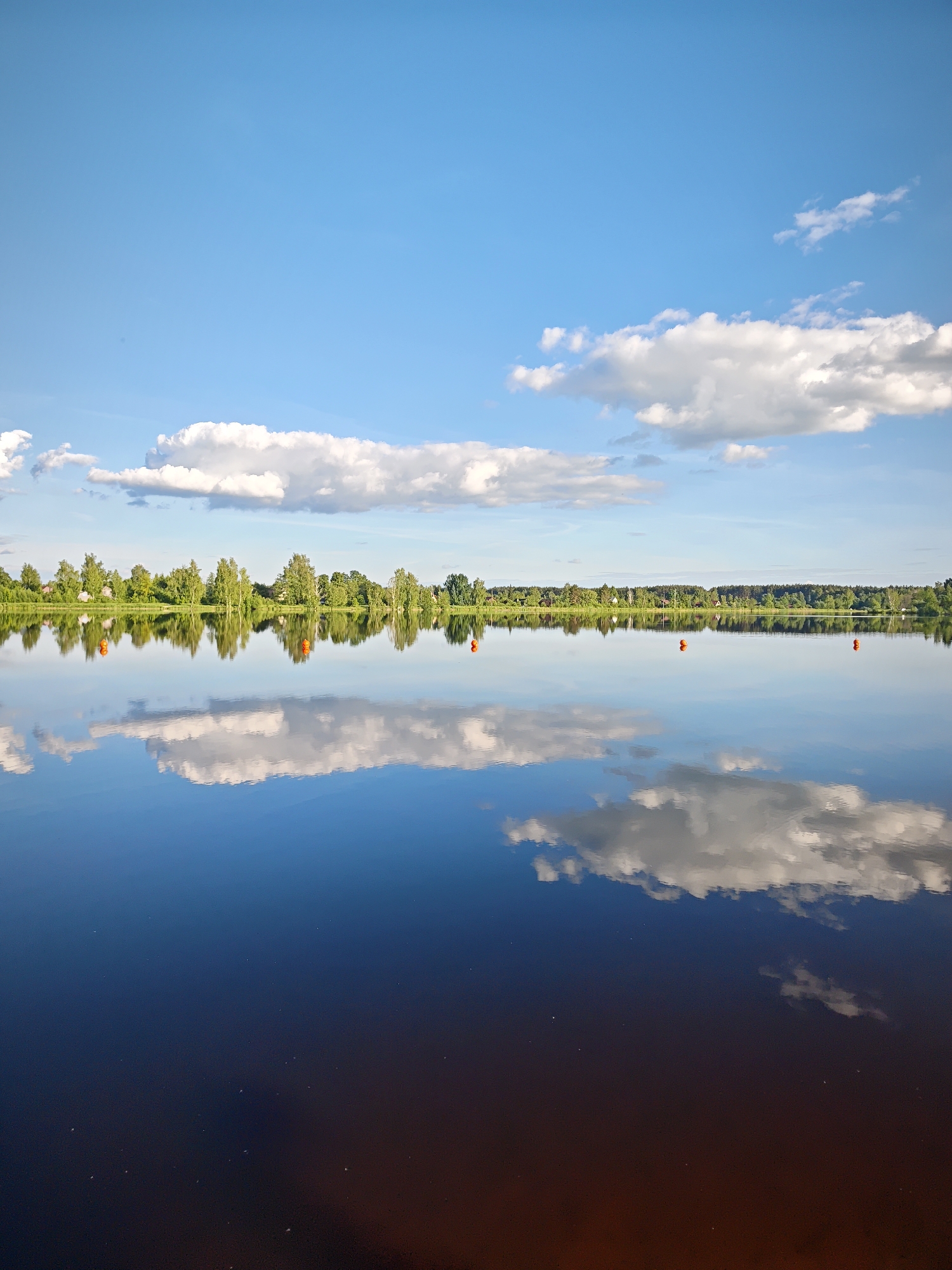 A tranquil landscape depicts a wide, calm body of water perfectly reflecting a bright blue sky with scattered white cumulus clouds. A lush green treeline, dotted with small houses, extends across the distant horizon and is mirrored with striking clarity in the still water. Several bright orange buoys float on the surface, adding small points of color. The sky above is vibrant and mostly clear, with the sun illuminating the clouds. The scene suggests a peaceful, clear day, likely late morning or early afternoon, with excellent visibility and calm weather. No people or specific activities are visible, emphasizing the natural serenity. There is no visible text. The setting is Zaprudnya, Russia, characterized by its rural landscape and reflective waters.