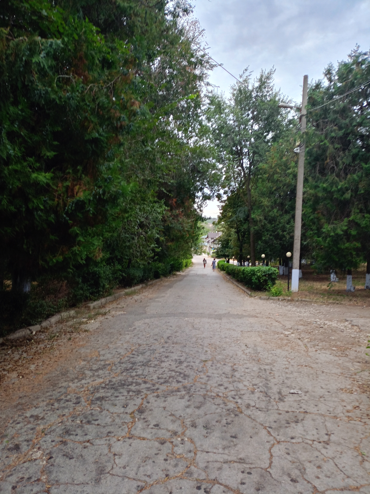 A paved road, cracked and weathered, stretches into the distance, lined by mature trees on either side. The sky above is overcast. Two figures are visible walking away from the viewer on the road, one ahead of the other. To the right of the road, a concrete utility pole stands tall, with a streetlamp and wiring. Further down the road, a neatly trimmed hedge runs alongside a row of evenly spaced, round streetlights. In the background, buildings and more trees are visible, suggesting a park or residential area. The ground on the side of the road is covered with fallen leaves and dirt.