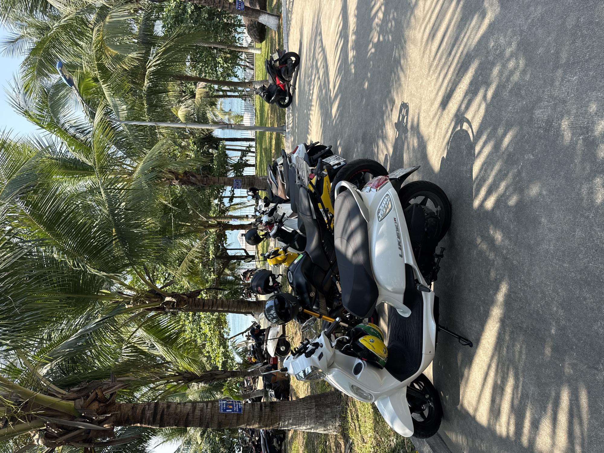 The image displays an outdoor parking area for motorbikes and scooters located in a coastal zone of Đà Nẵng, Vietnam. The scene is illuminated by direct sunlight, casting sharp, elongated shadows of palm fronds and vehicles across the light-grey paved surface.
In the foreground, a white Kymco Like 50i scooter is parked, angled slightly left, featuring a black seat, a yellow-green helmet suspended from its handlebars, and a black phone mount on the dashboard. Directly behind it, a black motorcycle, possibly a Yamaha model, is parked with a black helmet resting on its tank, followed by a yellow scooter and a row of other motorbikes and scooters of various colors (white, silver, black, red), many with helmets placed on them. A densely packed group of additional motorbikes is visible parked further left, beneath the shade of palm trees. A solitary red and black scooter is parked on a patch of green grass in the mid-ground to the right.
The environment is characterized by numerous tall palm trees with green fronds. Two blue-and-white rectangular signs with Vietnamese text are affixed to palm tree trunks. Beyond the paved area and a strip of green grass, the blue ocean is visible under a clear blue sky. A grey utility pole with a blue-and-white street light fixture stands in the mid-background. Two large, light-colored boulders, one with a white-painted base, are situated near the grass line on the right. One individual is partially visible in the mid-background on the left, near a white scooter, but their actions are not clearly discernible.