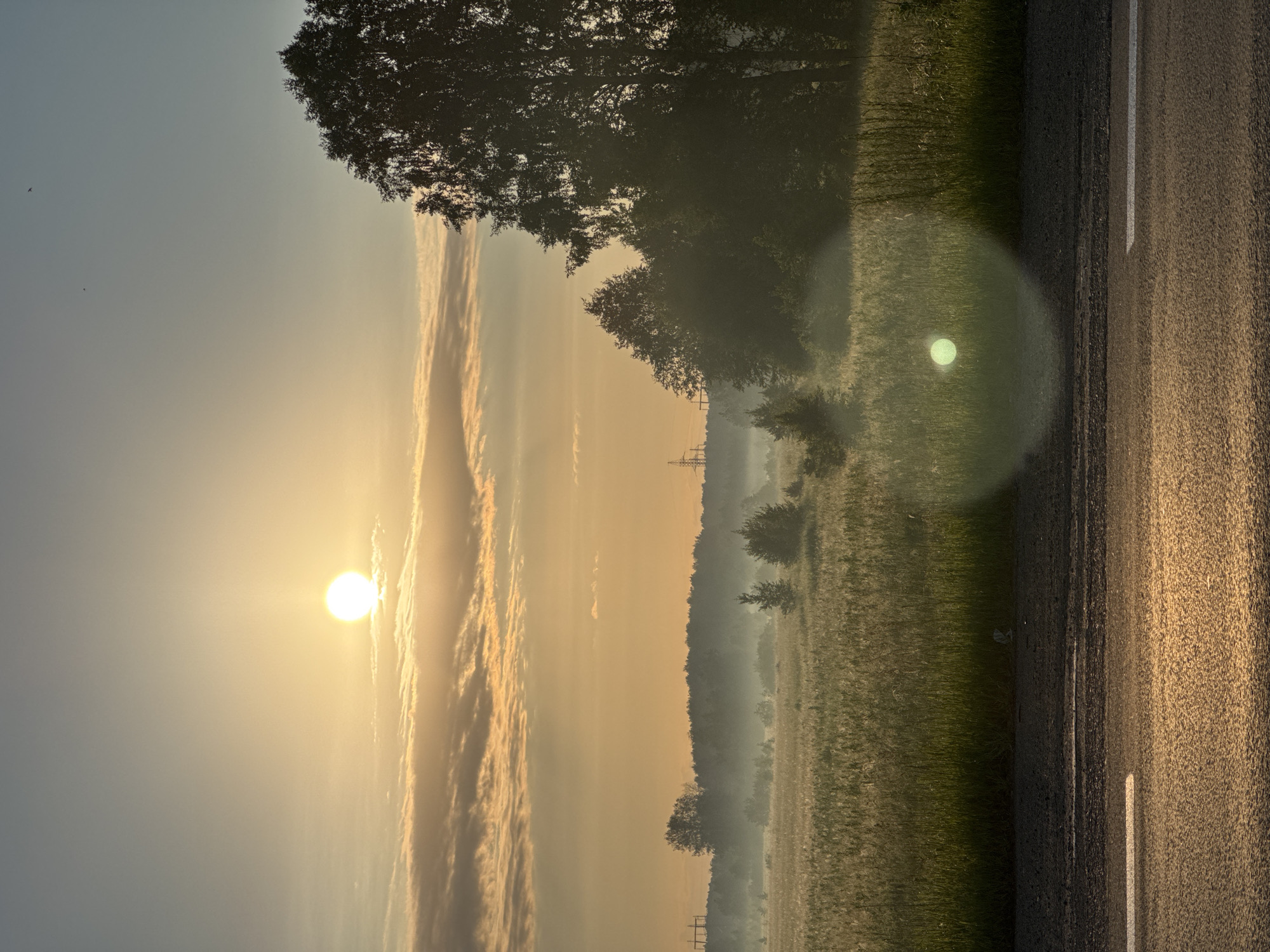 In the city of Unknown, Russia, at dawn, the sun rises casting a warm, golden light over a misty field of tall grass and scattered trees. The foreground features an asphalt road with a white line marking, reflecting the sun's glow. In the mid-ground, a dense fog blankets the landscape, obscuring the base of the trees and creating a soft, ethereal atmosphere. The background reveals a treeline against a pale blue sky, with the sun, partially obscured by thin clouds, shining brightly. A few power lines and tall structures are visible in the distance, hinting at the presence of civilization beyond the natural landscape. The overall scene depicts a serene and tranquil early morning in the Russian countryside.