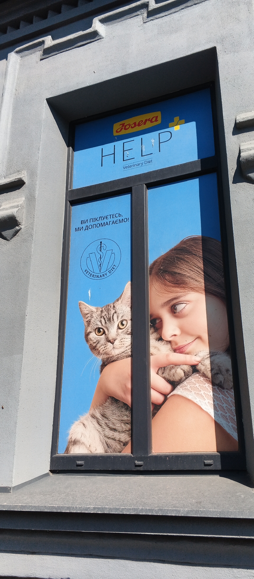 The image shows a poster displayed in a window. The poster features the Josera logo and the word "HELP" with "Veterinary Diet" underneath. The poster is split into two sections by a vertical black bar. The left section shows a grey tabby cat being held by a person's arm, and text in Ukrainian that translates to "You are worried, we are helping!". Below this text is a circular logo with a snake intertwined with a staff, and the words "VETERINARY DIET". The right section of the poster shows a young girl with brown hair holding a cat and looking to her right. The poster is mounted on the exterior of a building with a grey facade. The building's facade has architectural details above the window. The image appears to be taken outdoors in daylight. The location is identified as Smila, Ukraine.